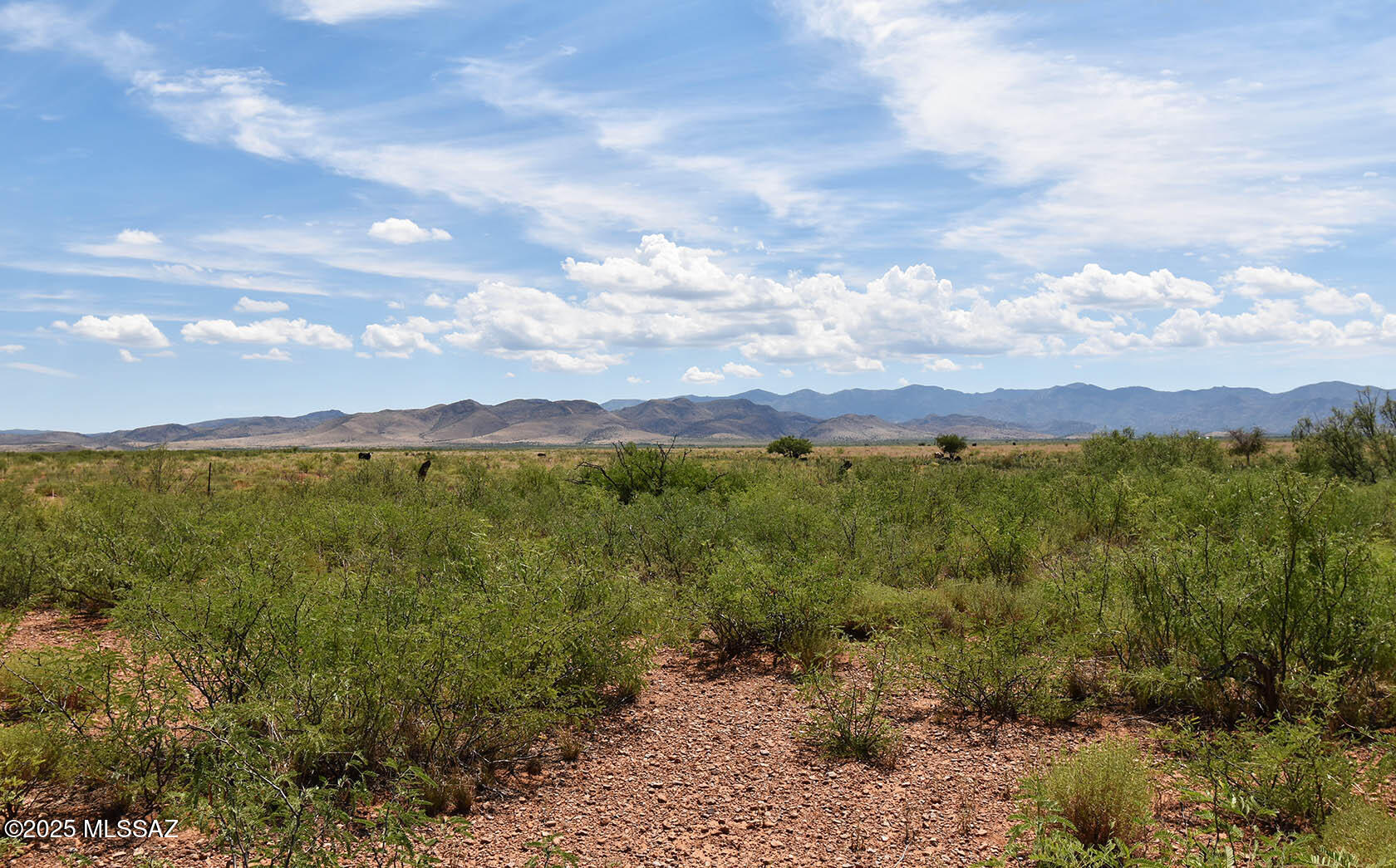 Ash Creek Ranch - Land