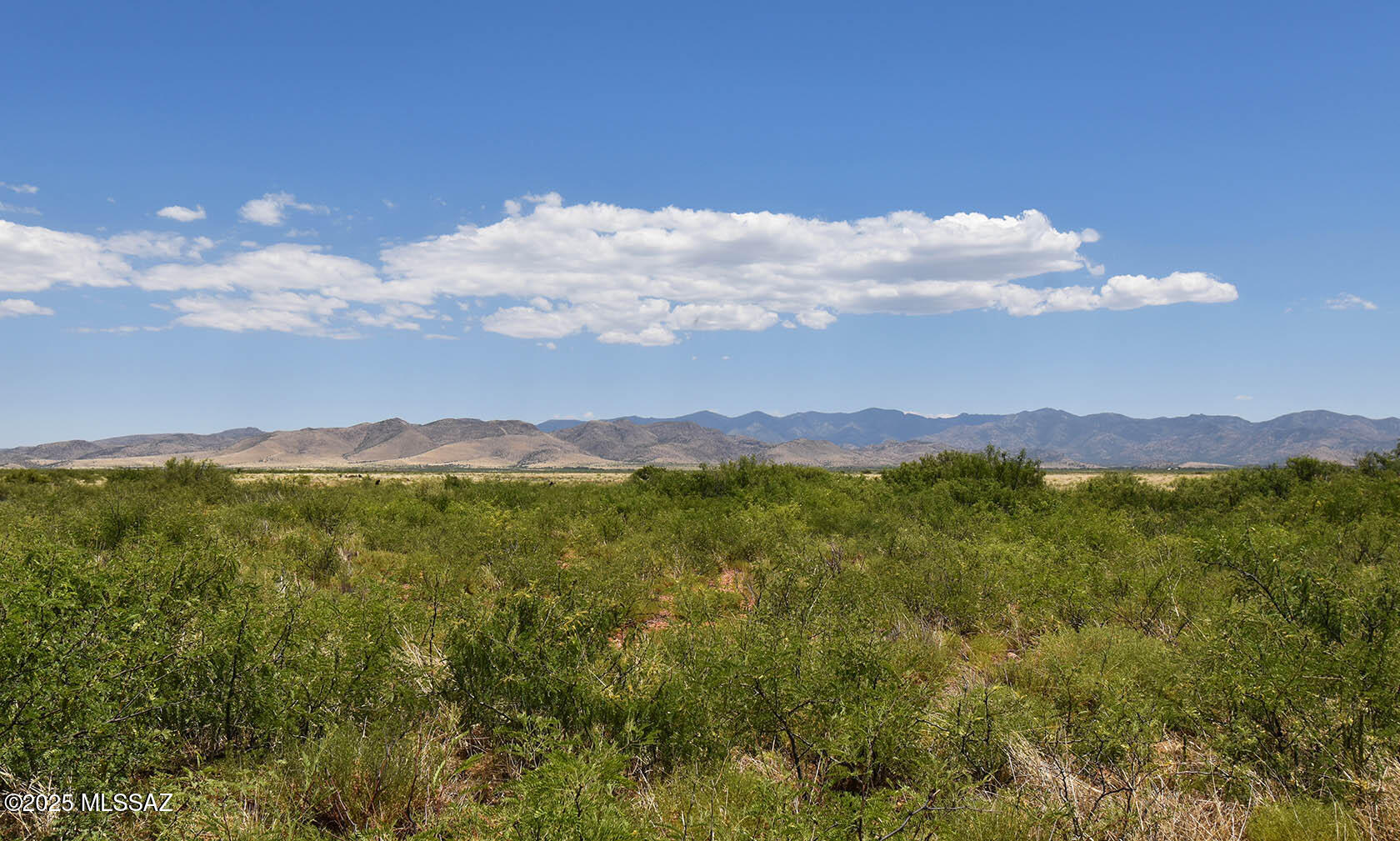 Ash Creek Ranch - Land