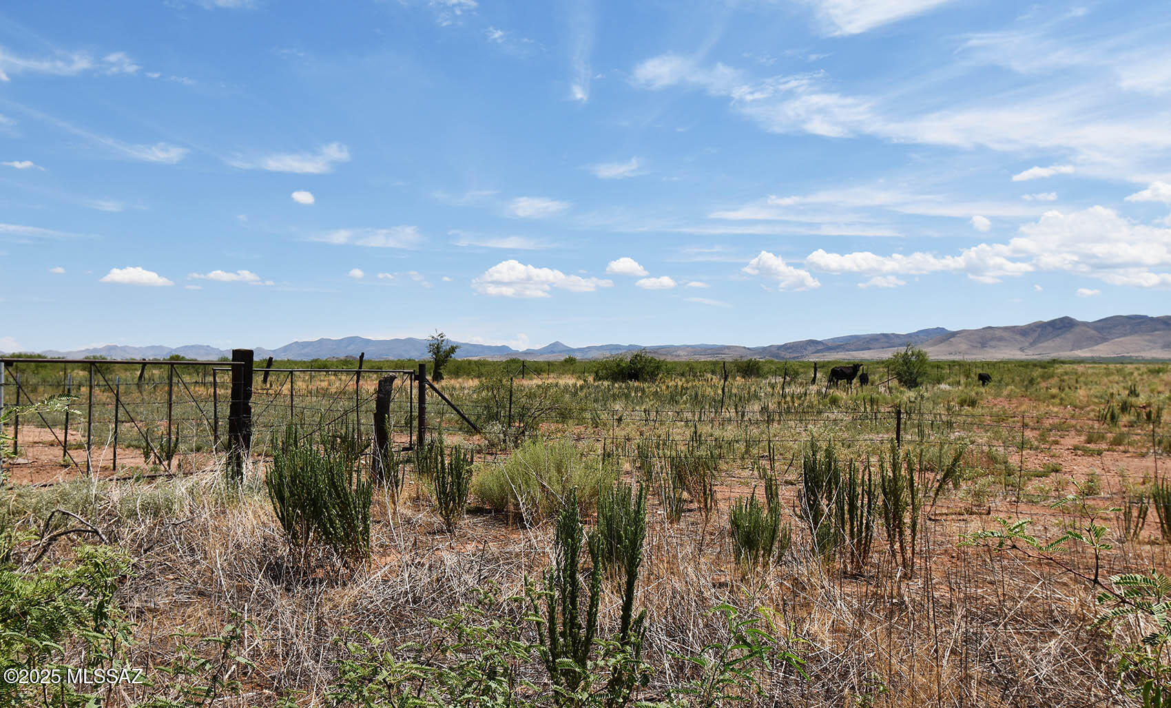 Ash Creek Ranch - Land