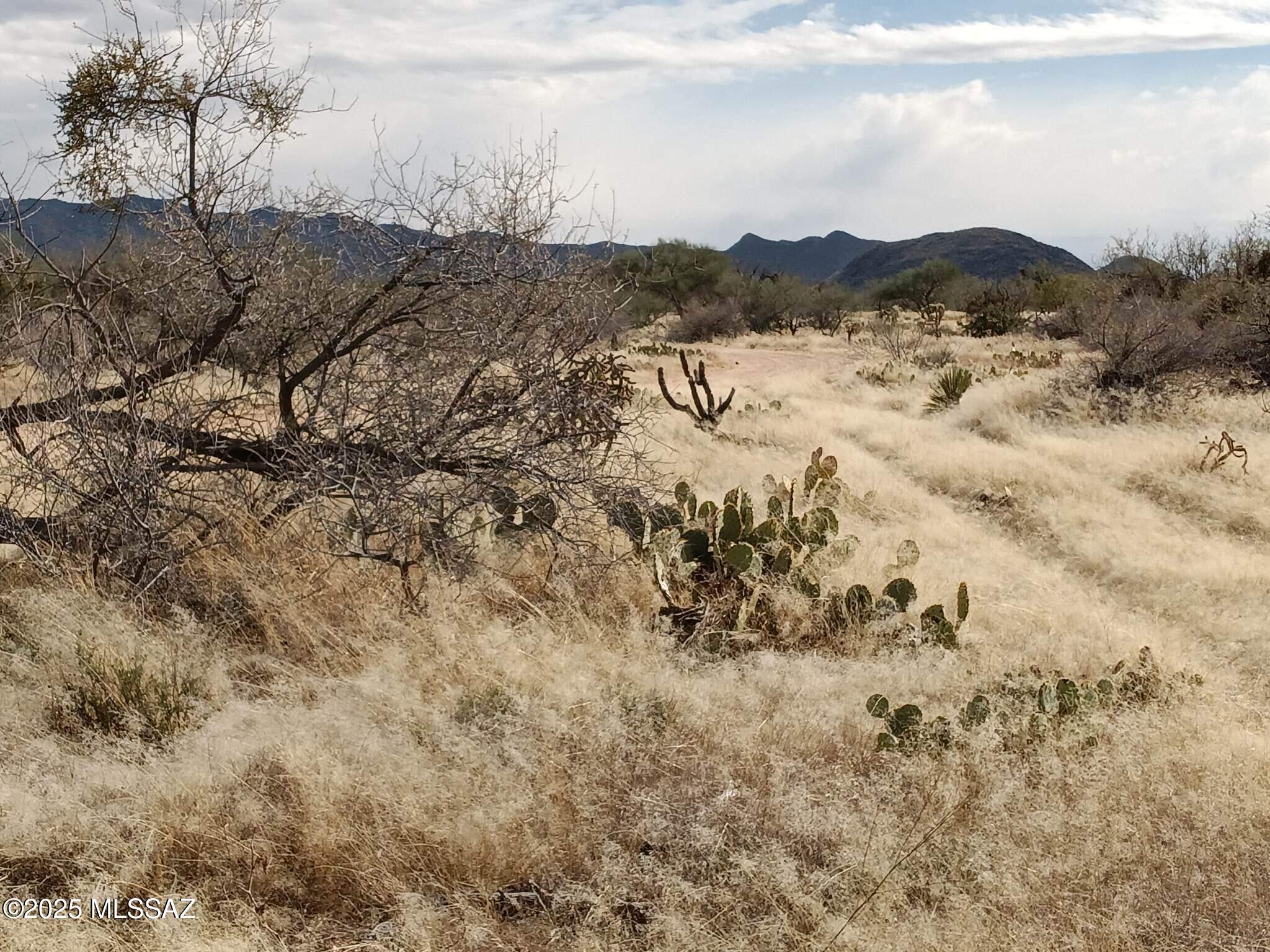 16040 S Big Run Avenue 316