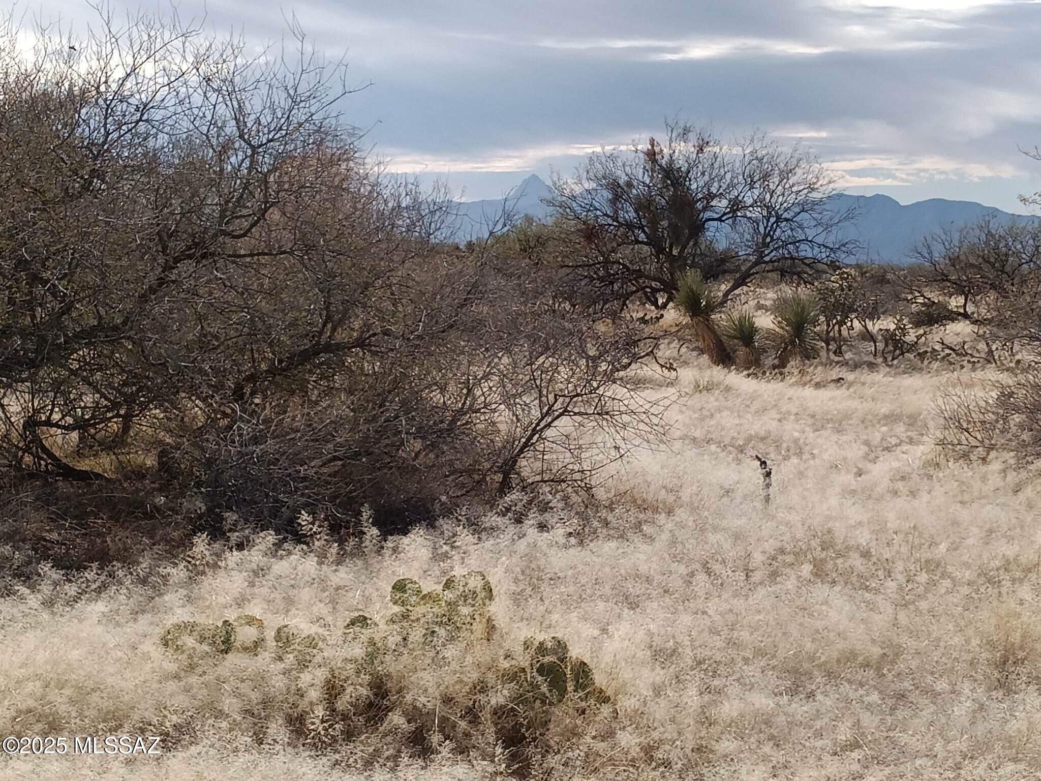 16040 S Big Run Avenue 316