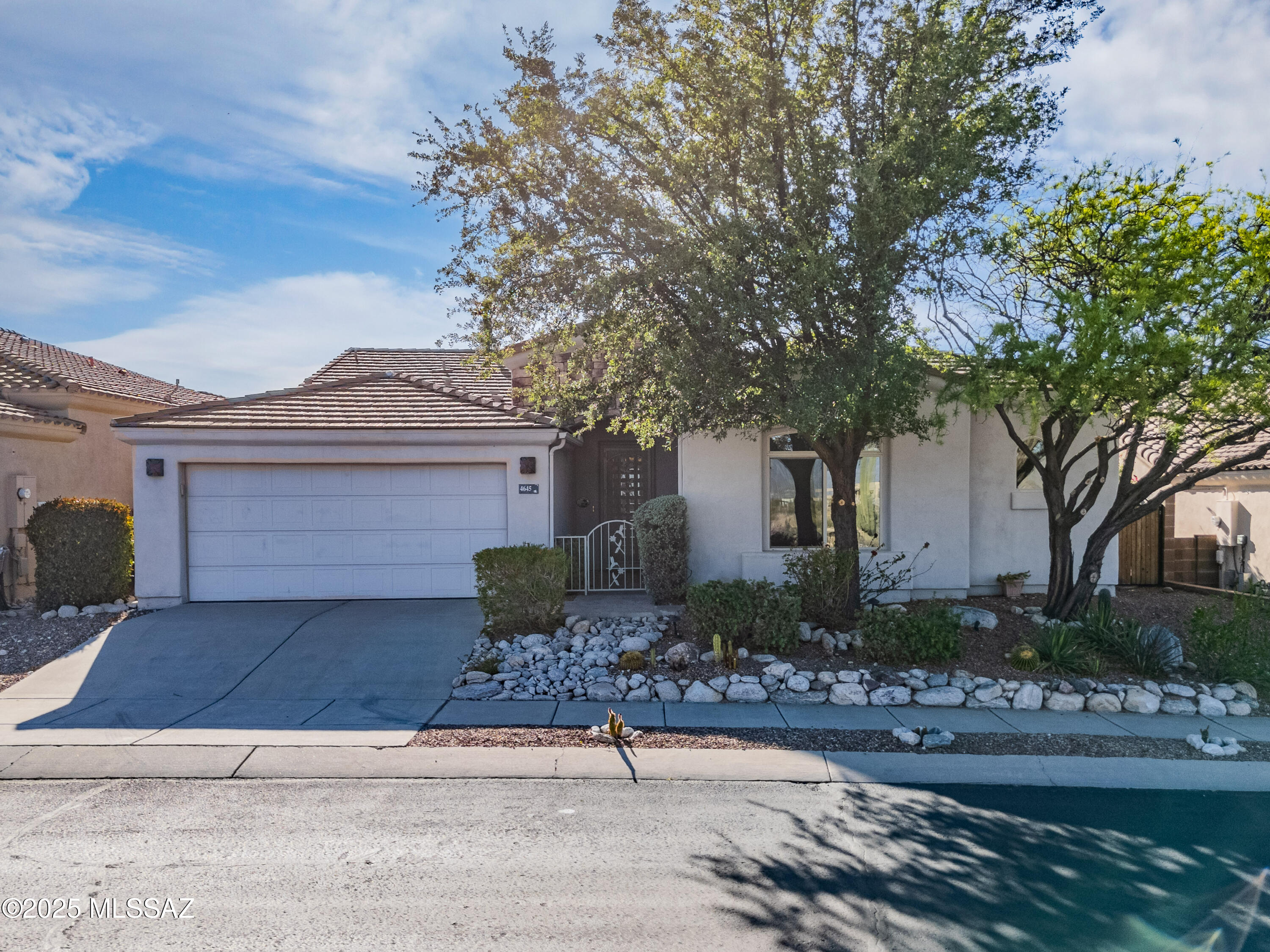 Sabino Mountain (1-290) - Residential