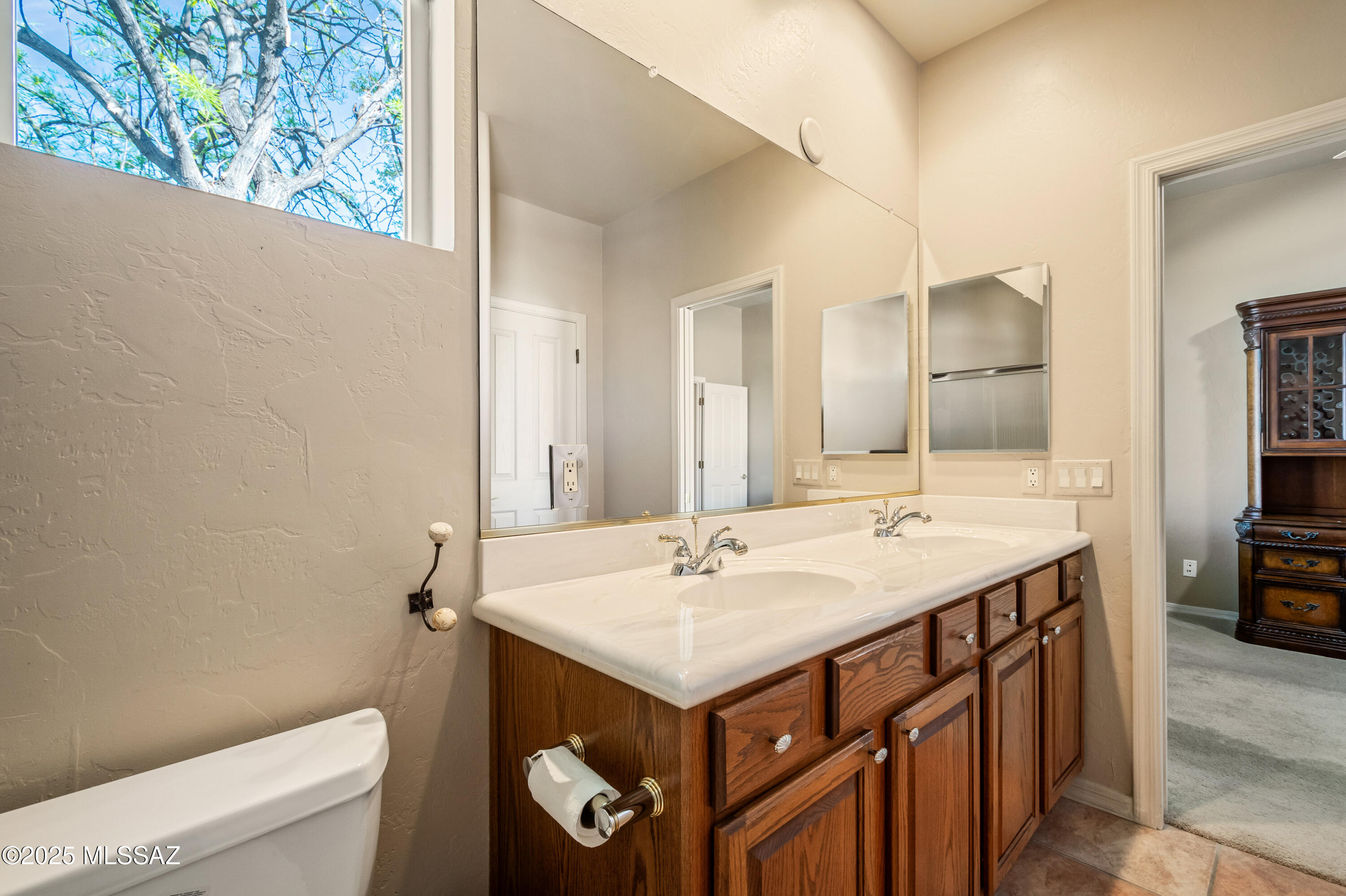 Sabino Mountain (1-290) - Residential
