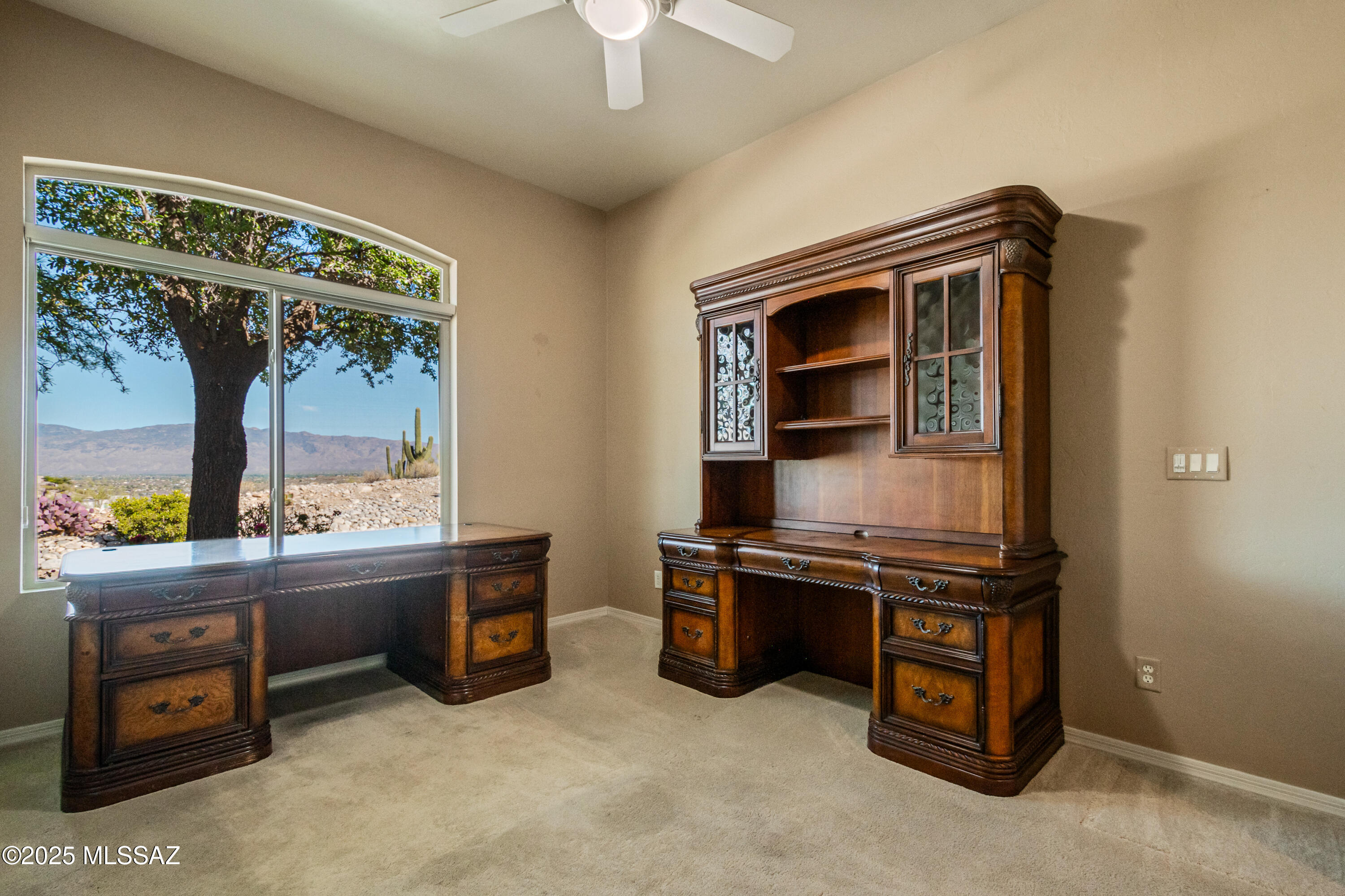 Sabino Mountain (1-290) - Residential