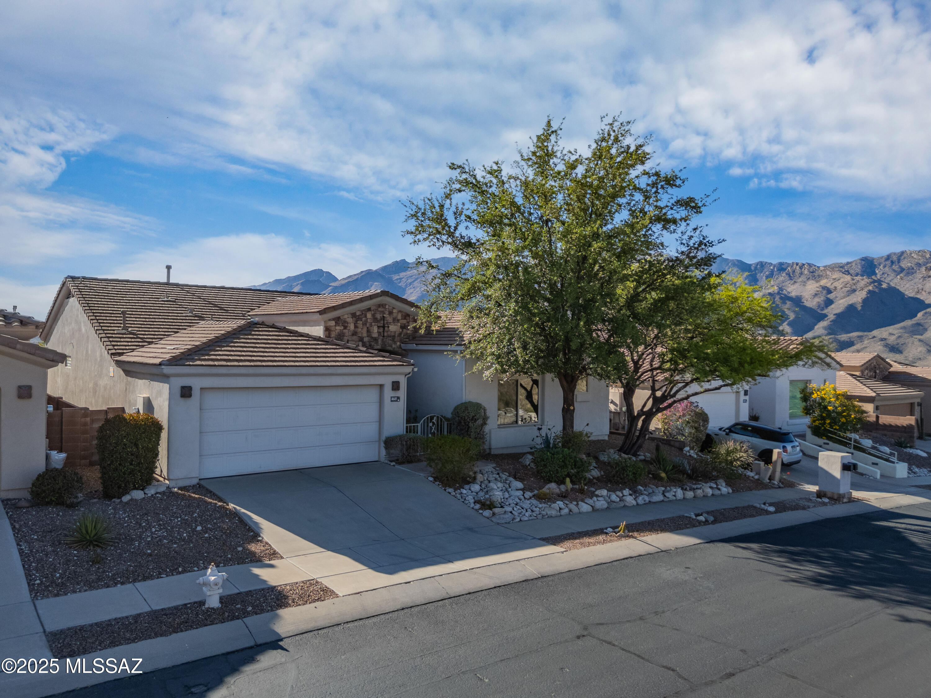 Sabino Mountain (1-290) - Residential