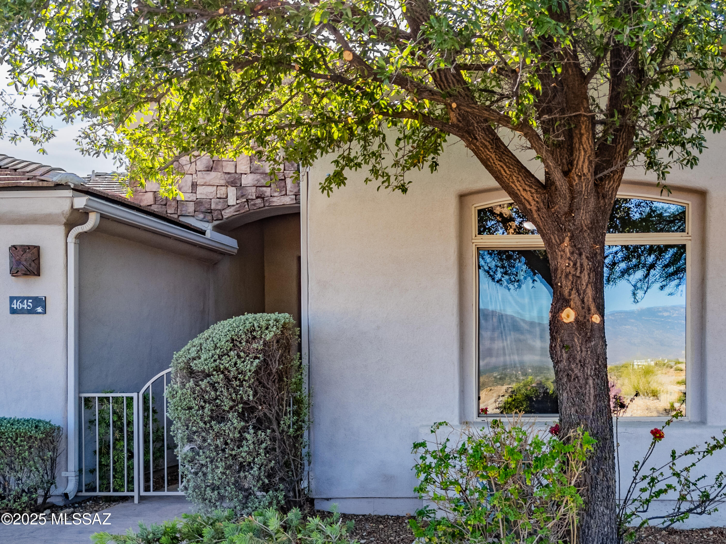 Sabino Mountain (1-290) - Residential