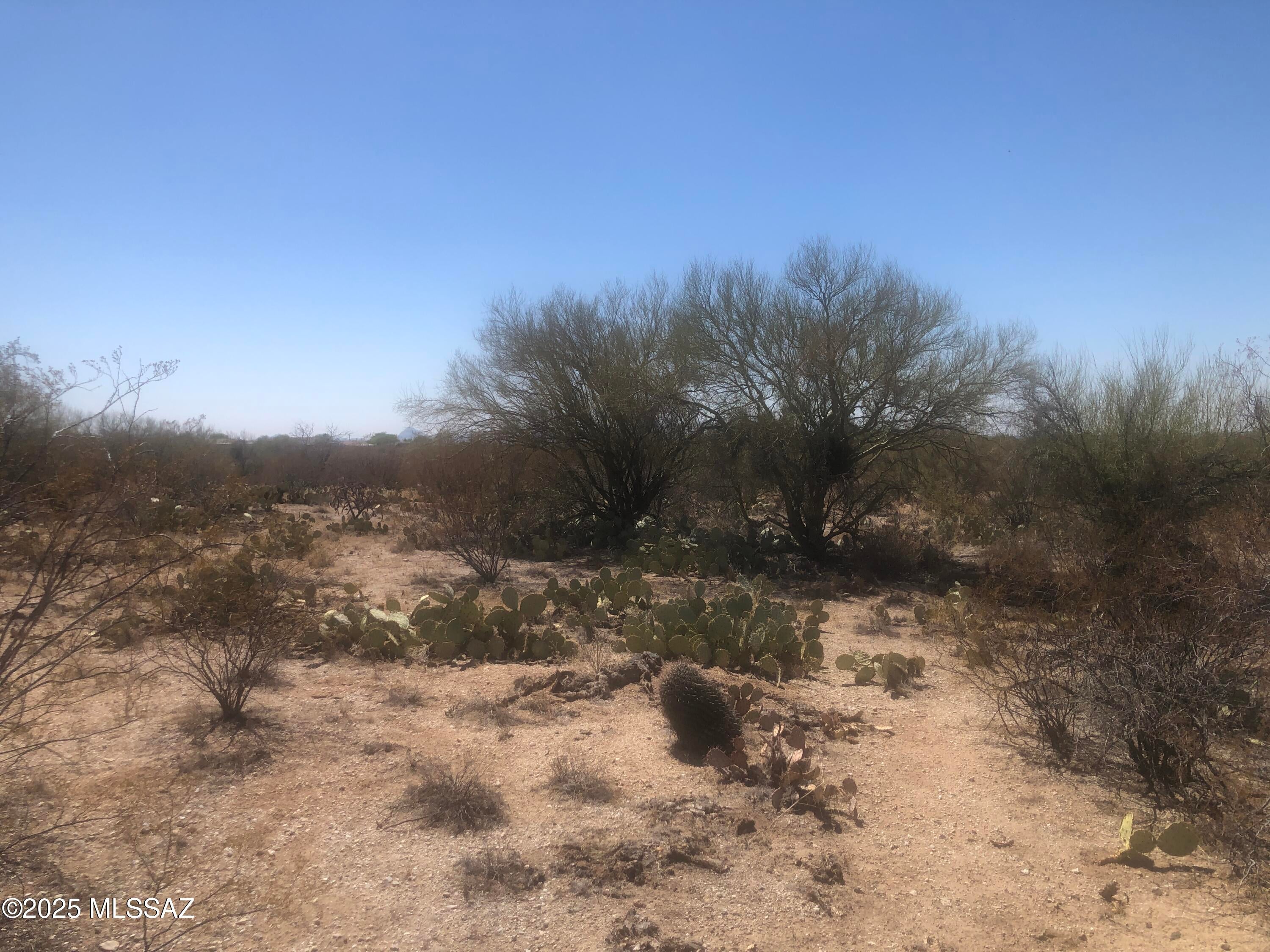1470 S Melpomene Way