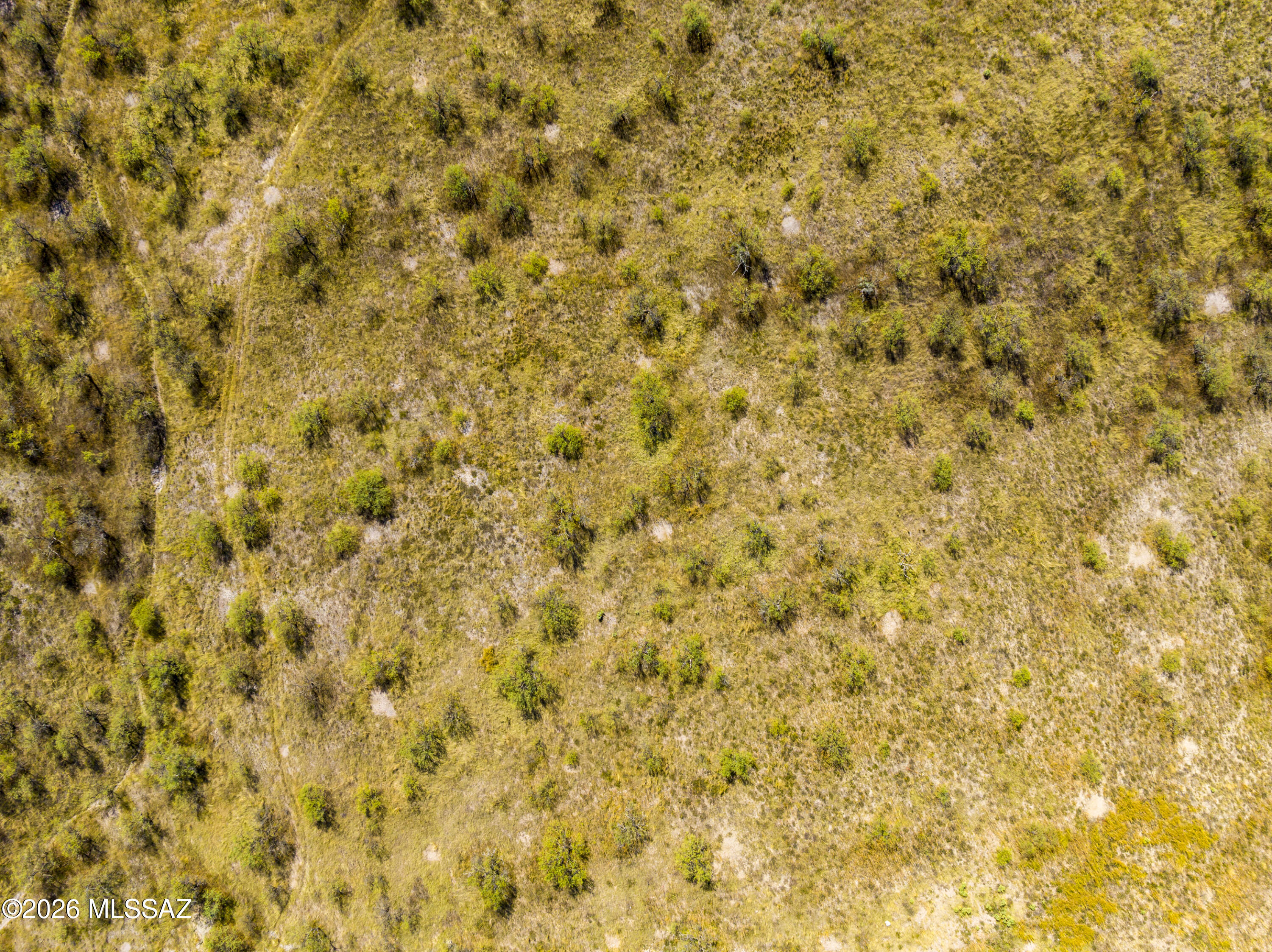 Arivaca - Land