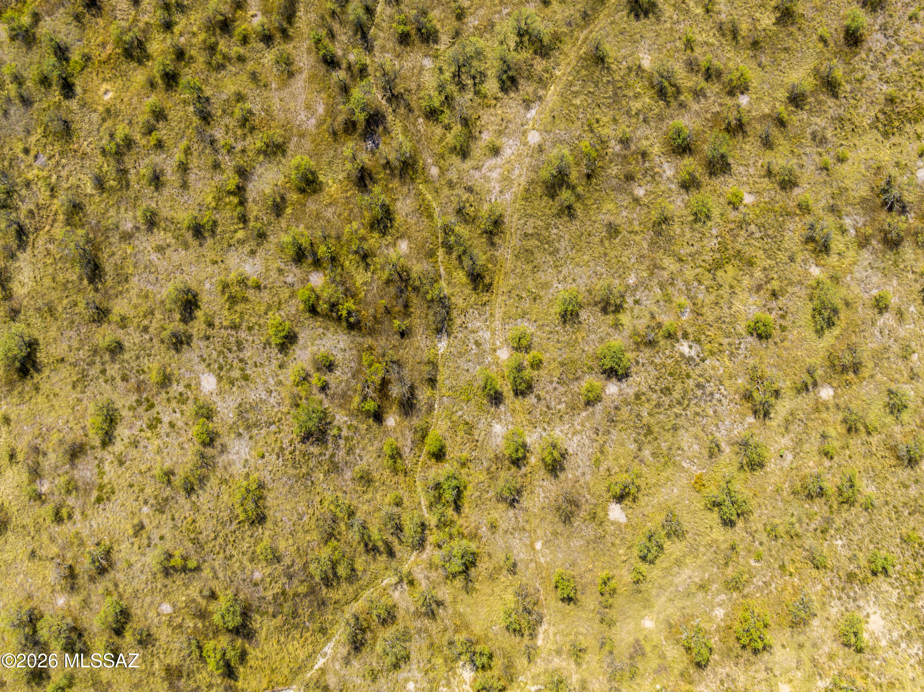 Arivaca - Land