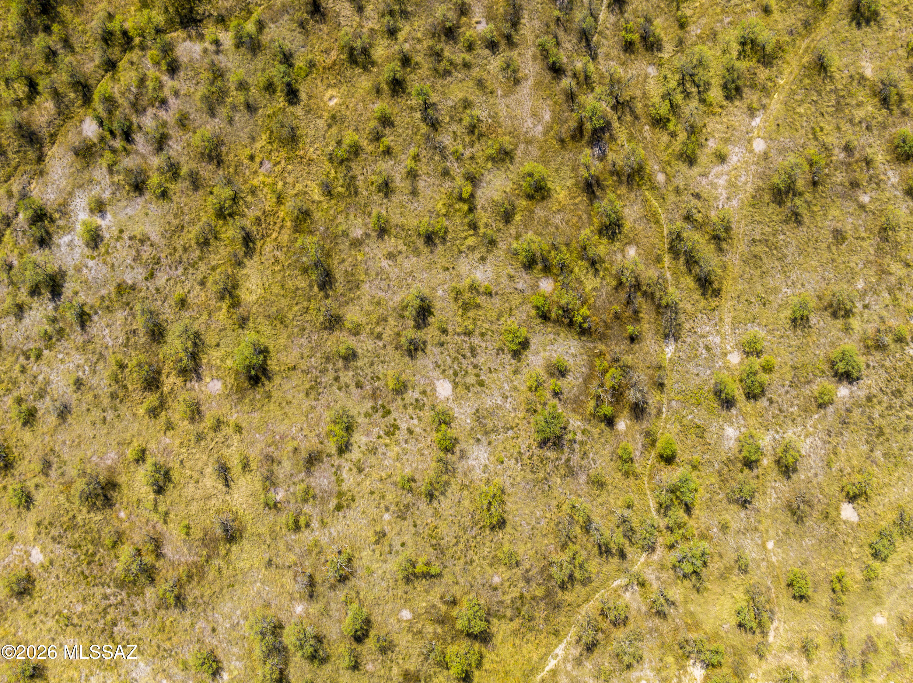 Arivaca - Land