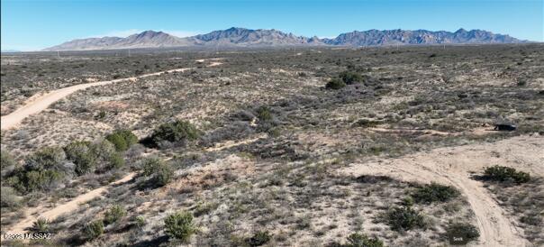 Dragoon Mountain Ranch - Land