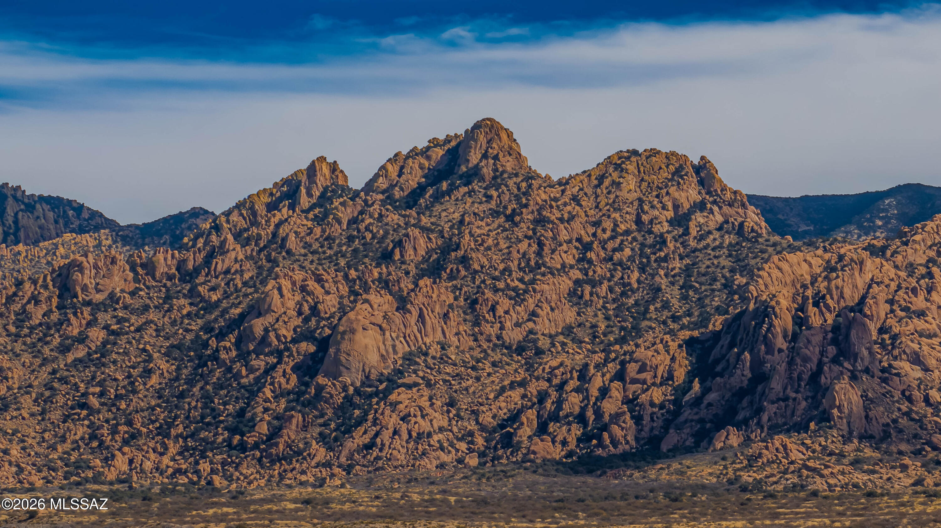 Dragoon Mountain Ranch - Land