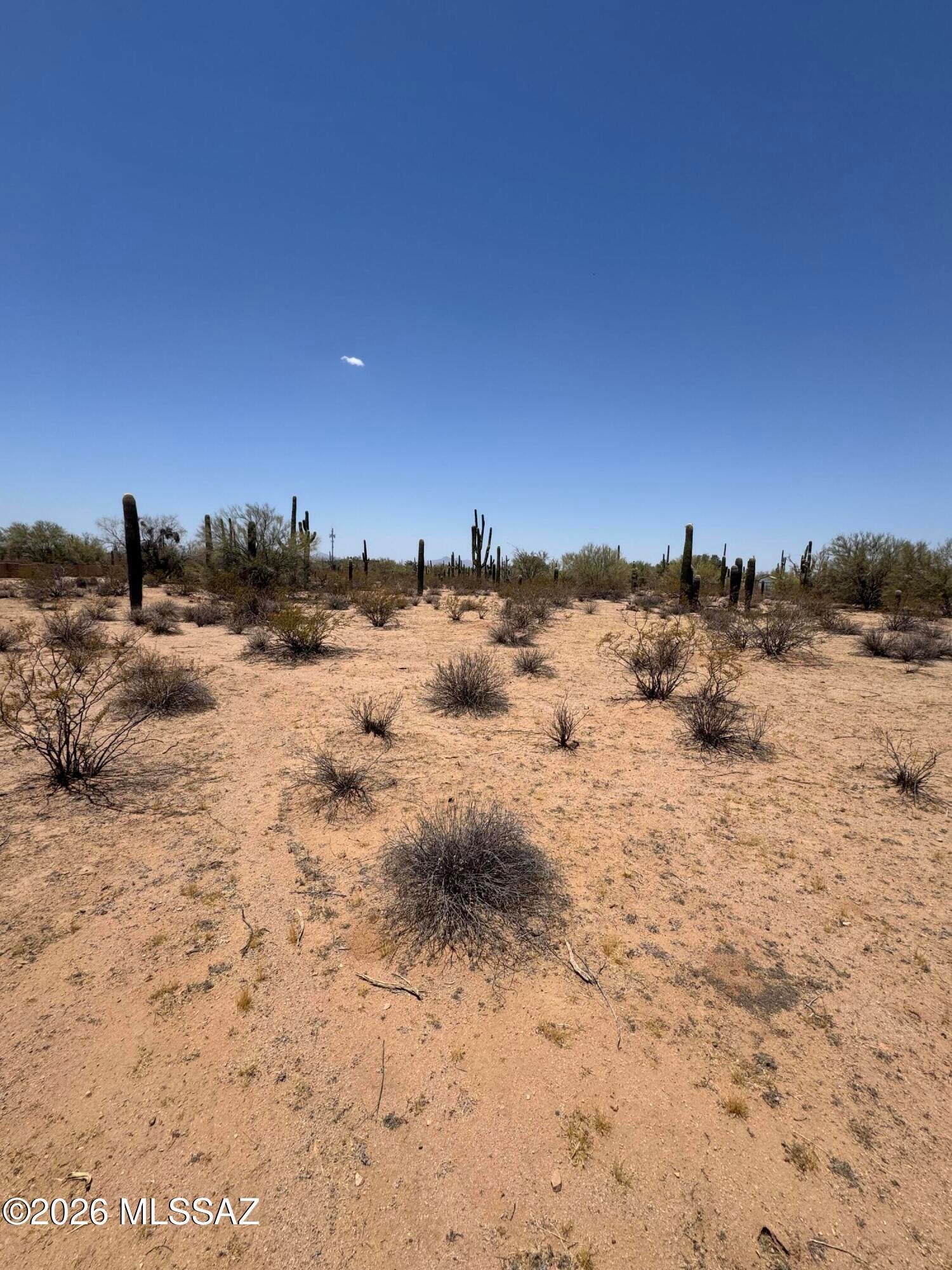7350 N Sandario Road