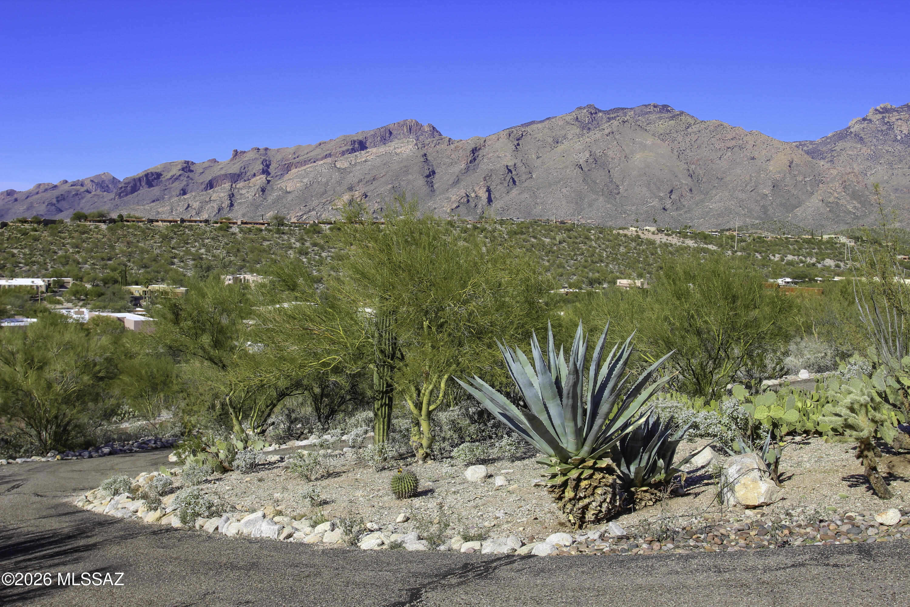 5030 N Fort Buchanan Trail