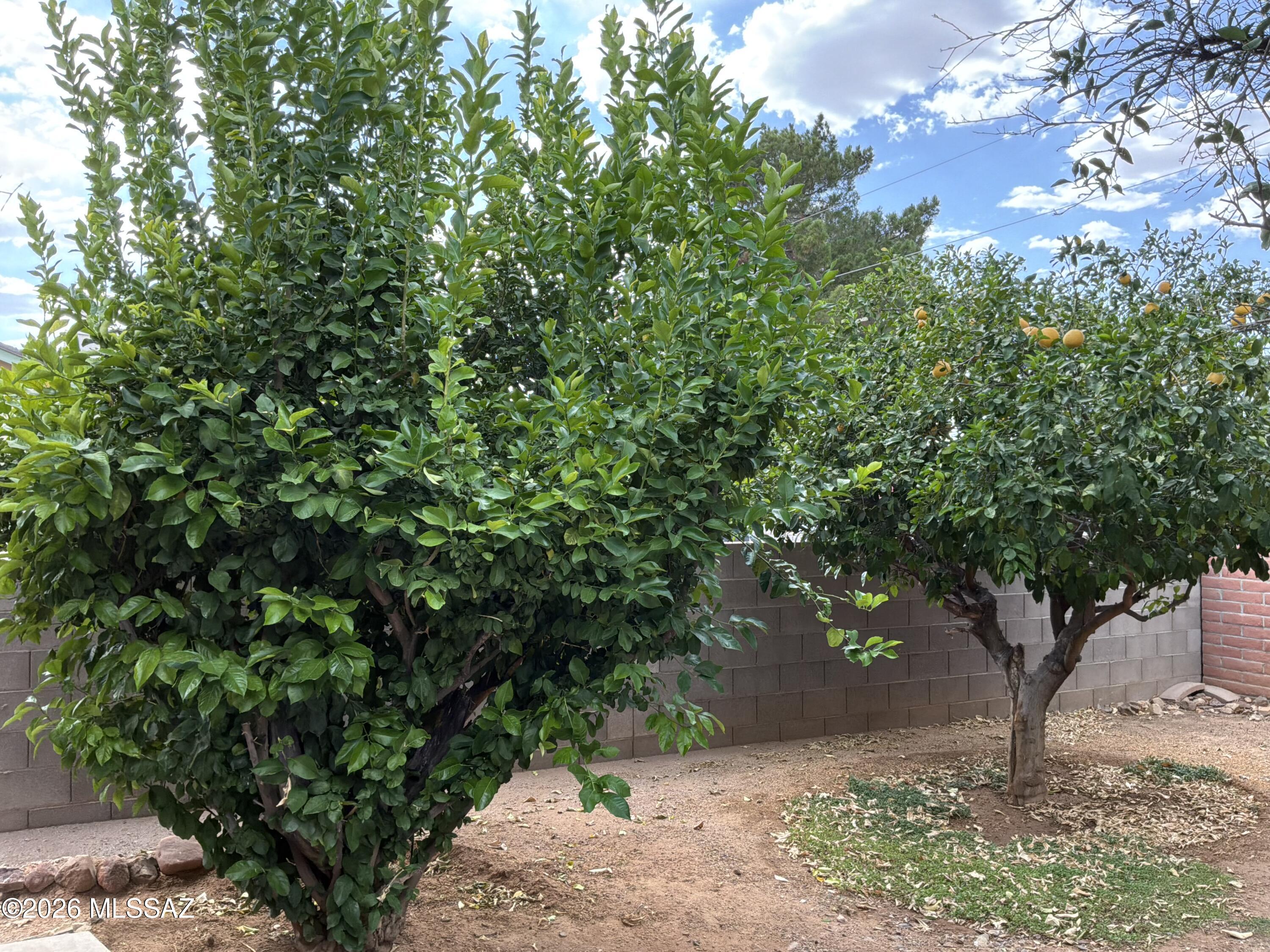 New Tucson Unit NO. 1 (1-127) - Residential
