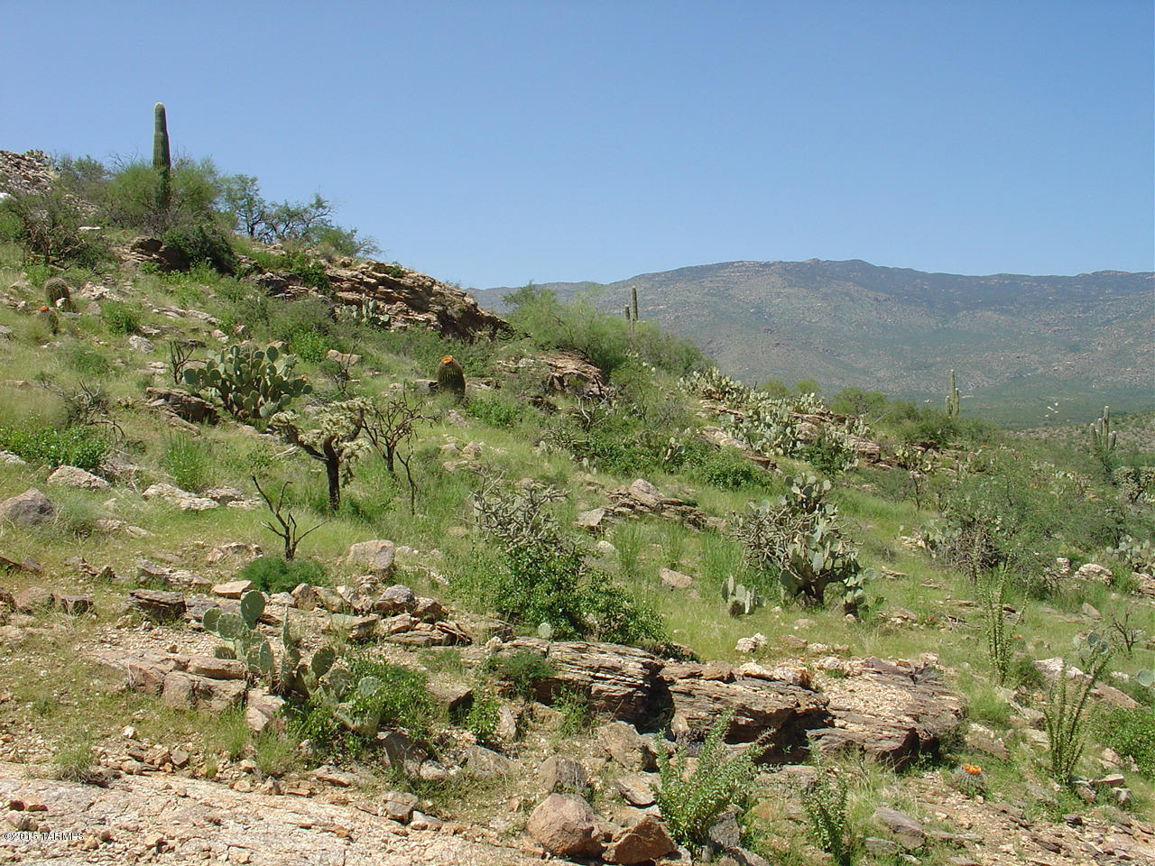 X9 Ranch - Land