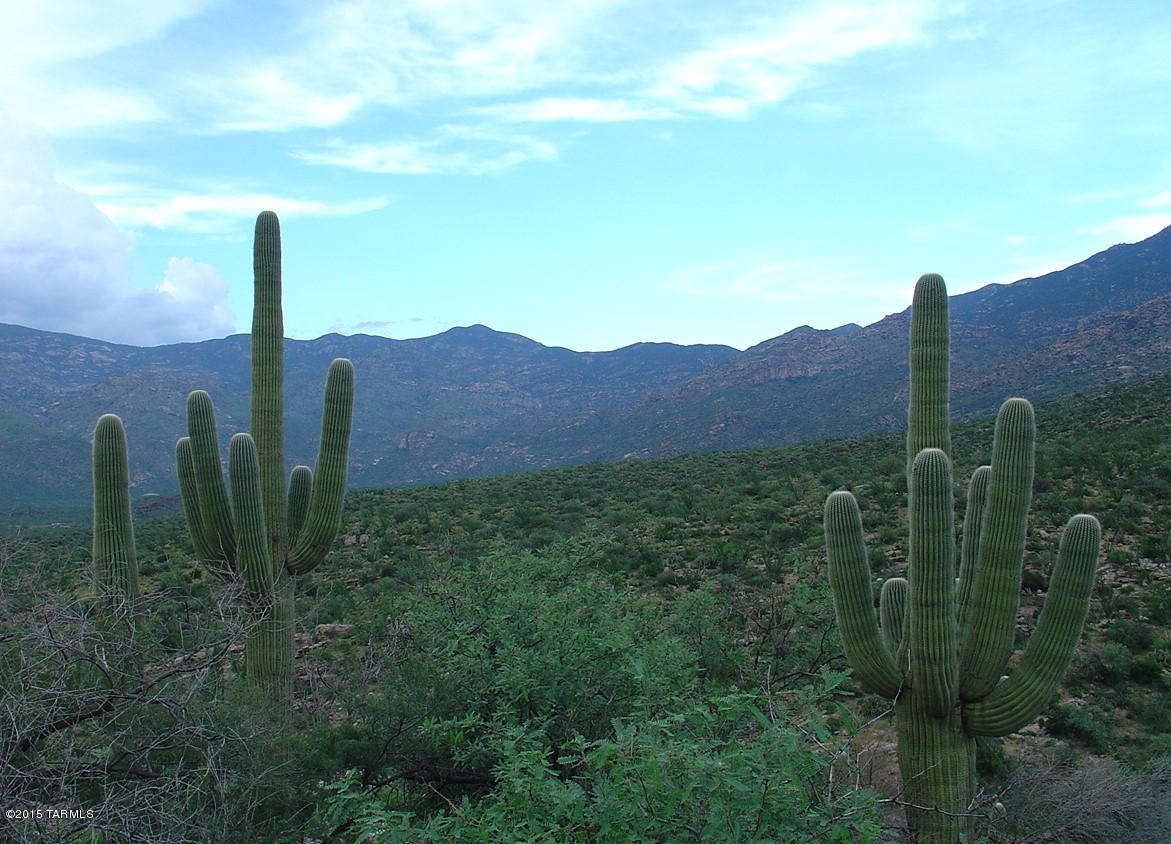 X9 Ranch - Land