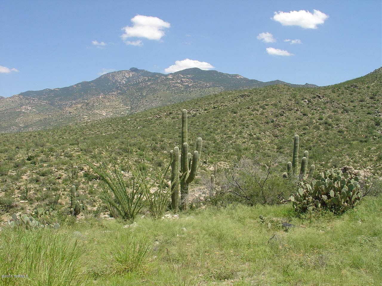 X9 Ranch - Land