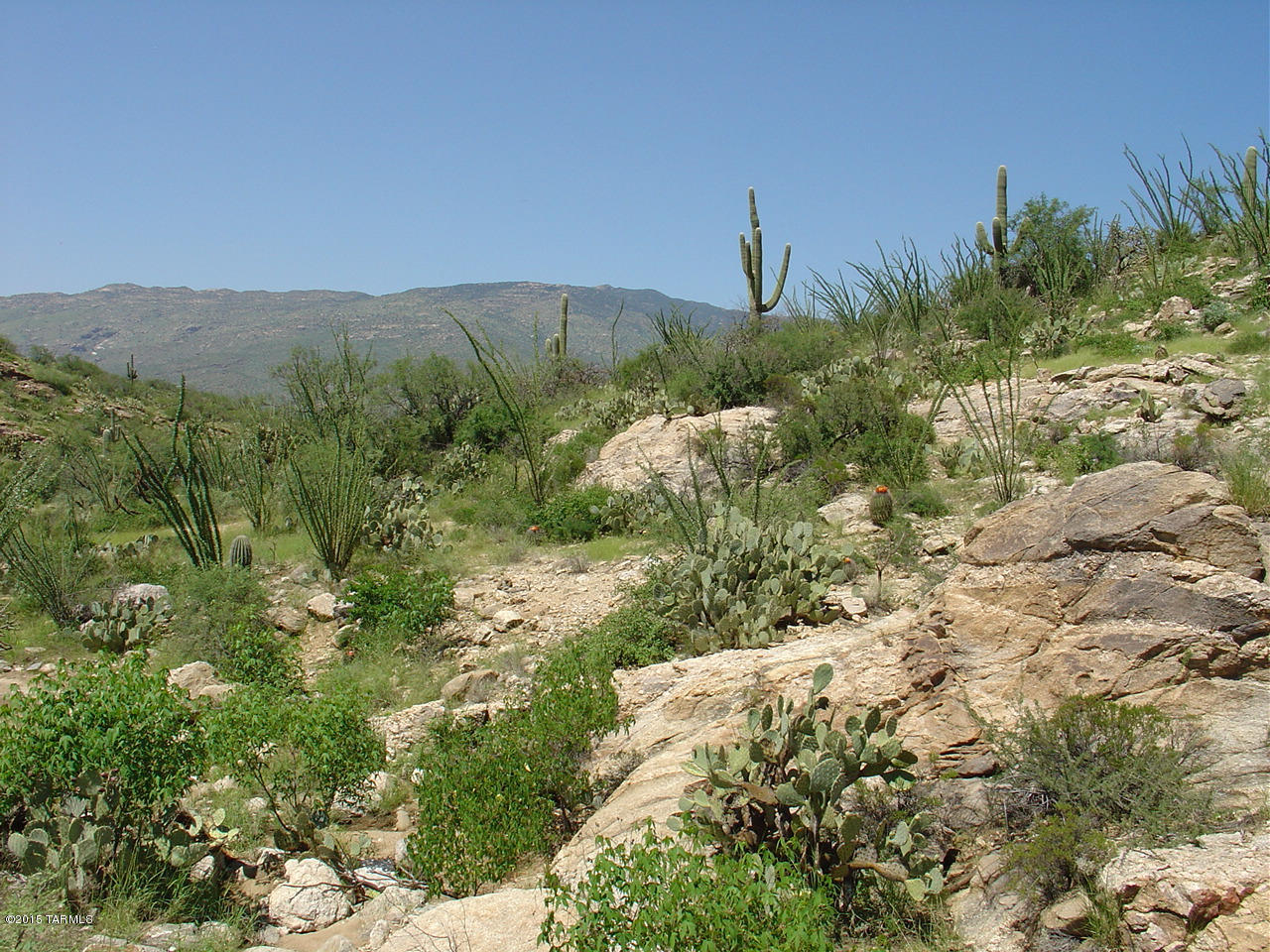 X9 Ranch - Land