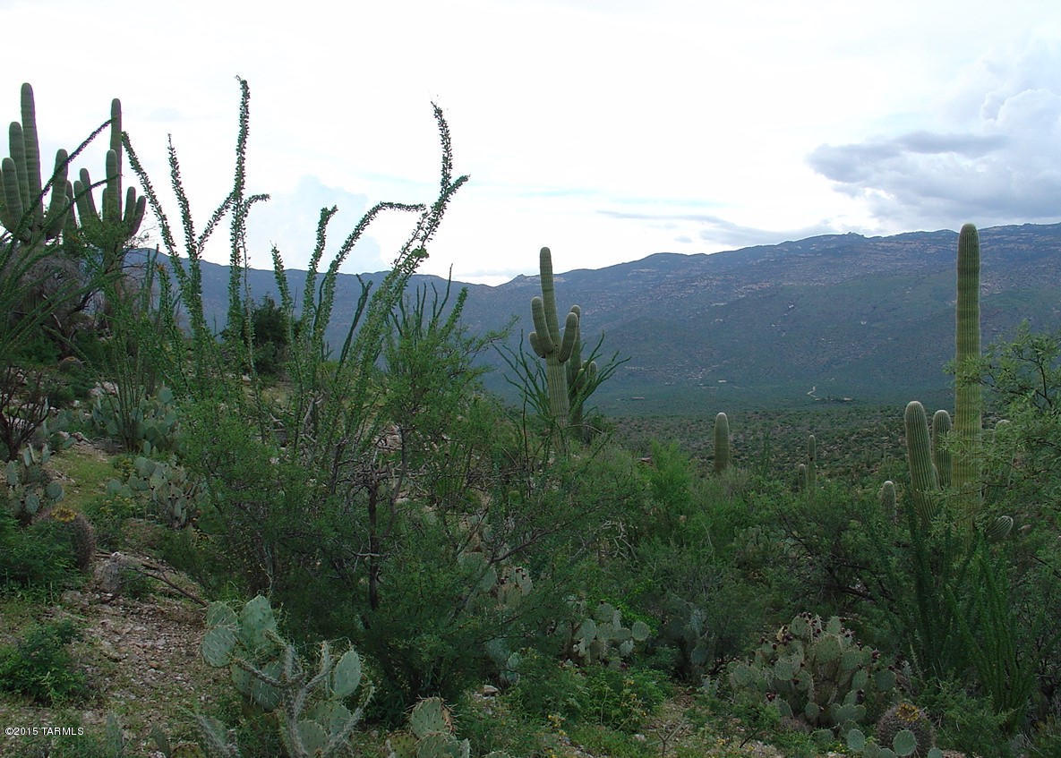 X9 Ranch - Land