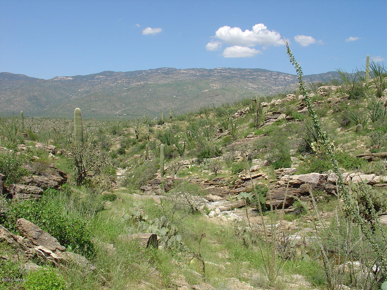 X9 Ranch - Land