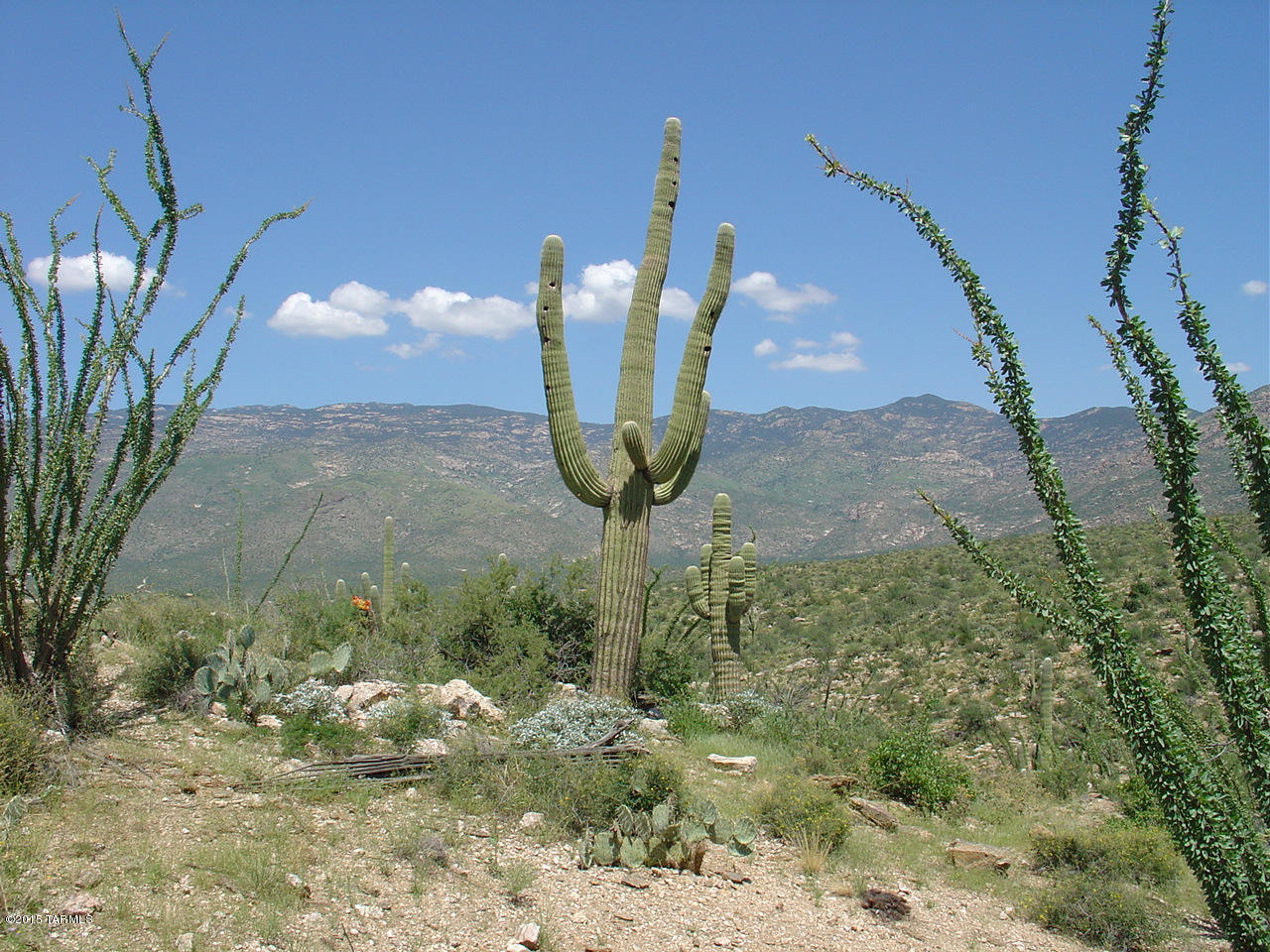 X9 Ranch - Land