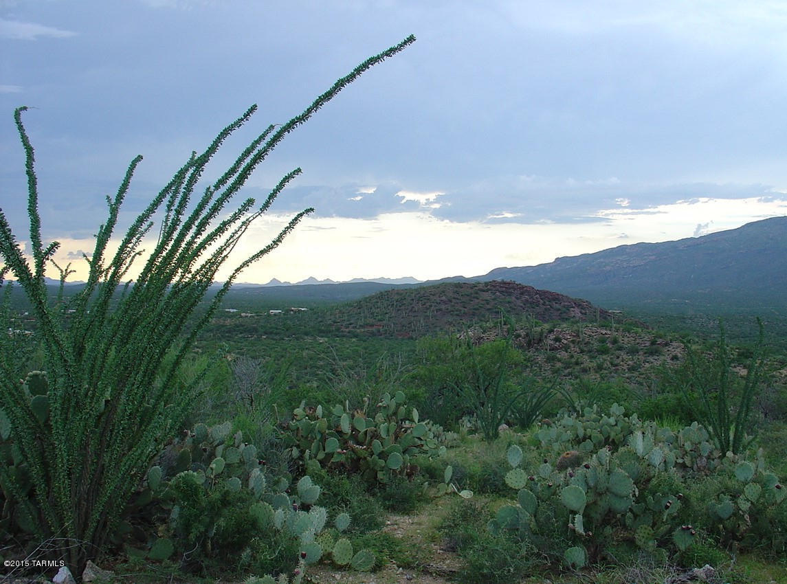 X9 Ranch - Land