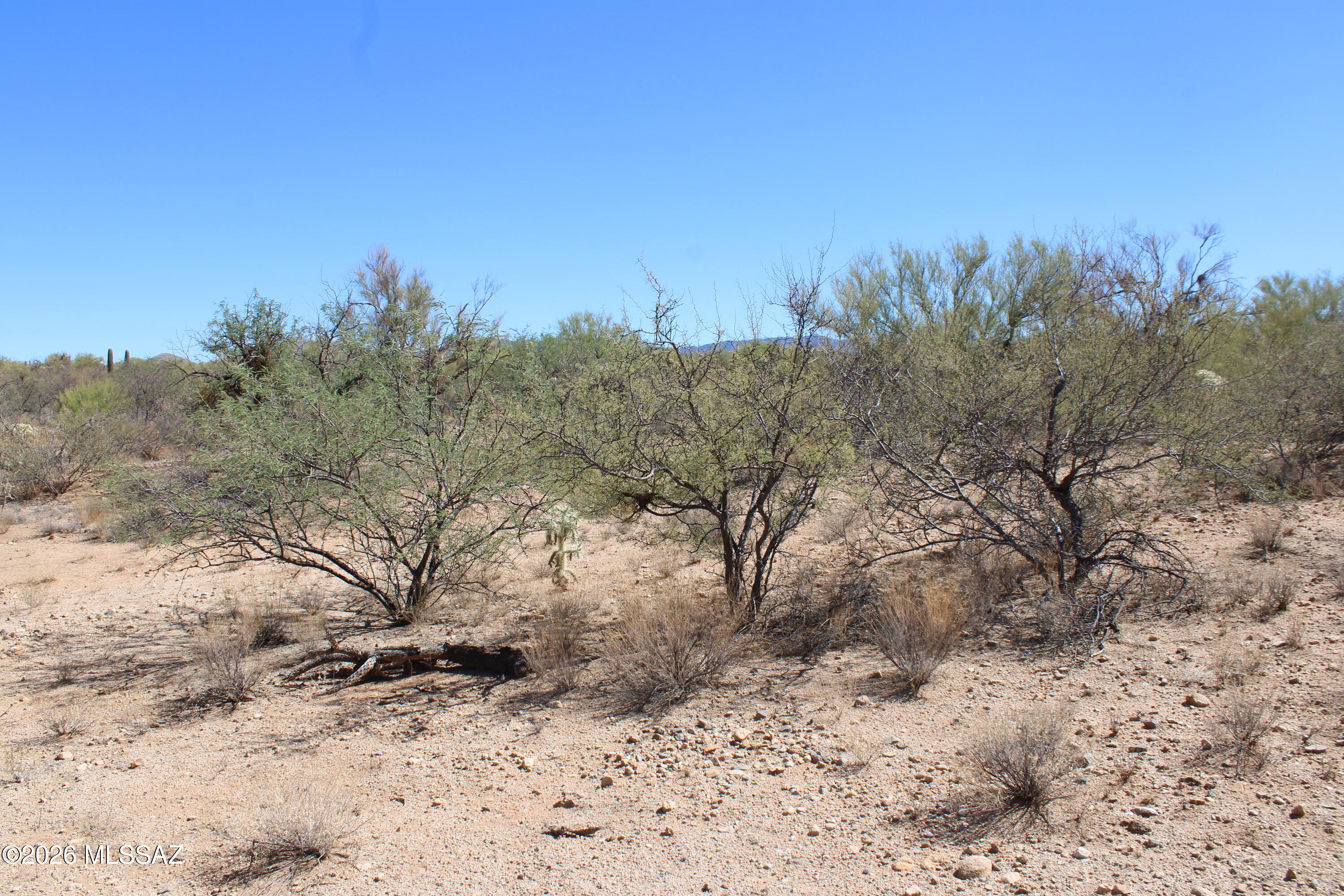 14223 S Shaw Road 330