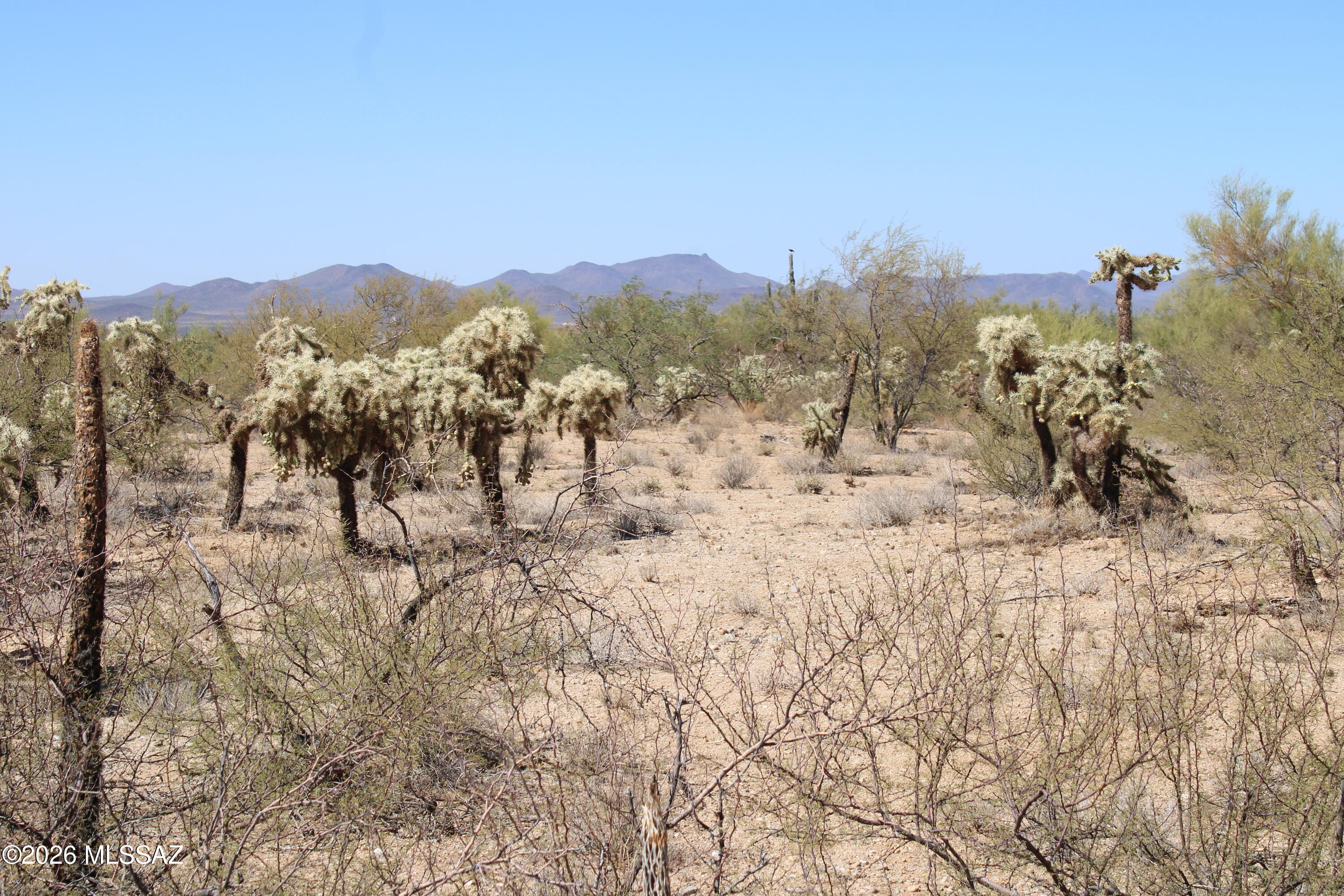 14223 S Shaw Road 330