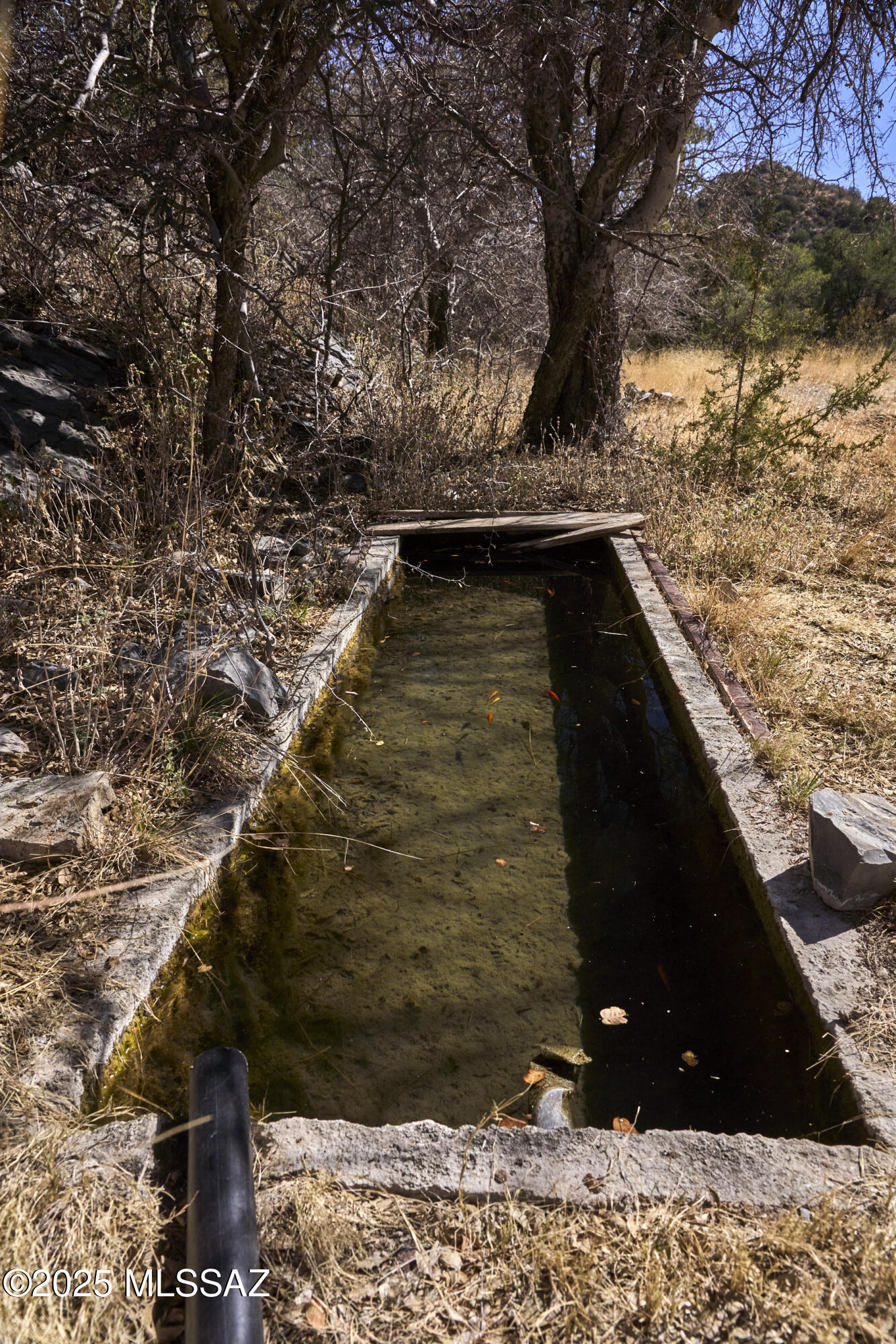 Out Of Pima County - Residential