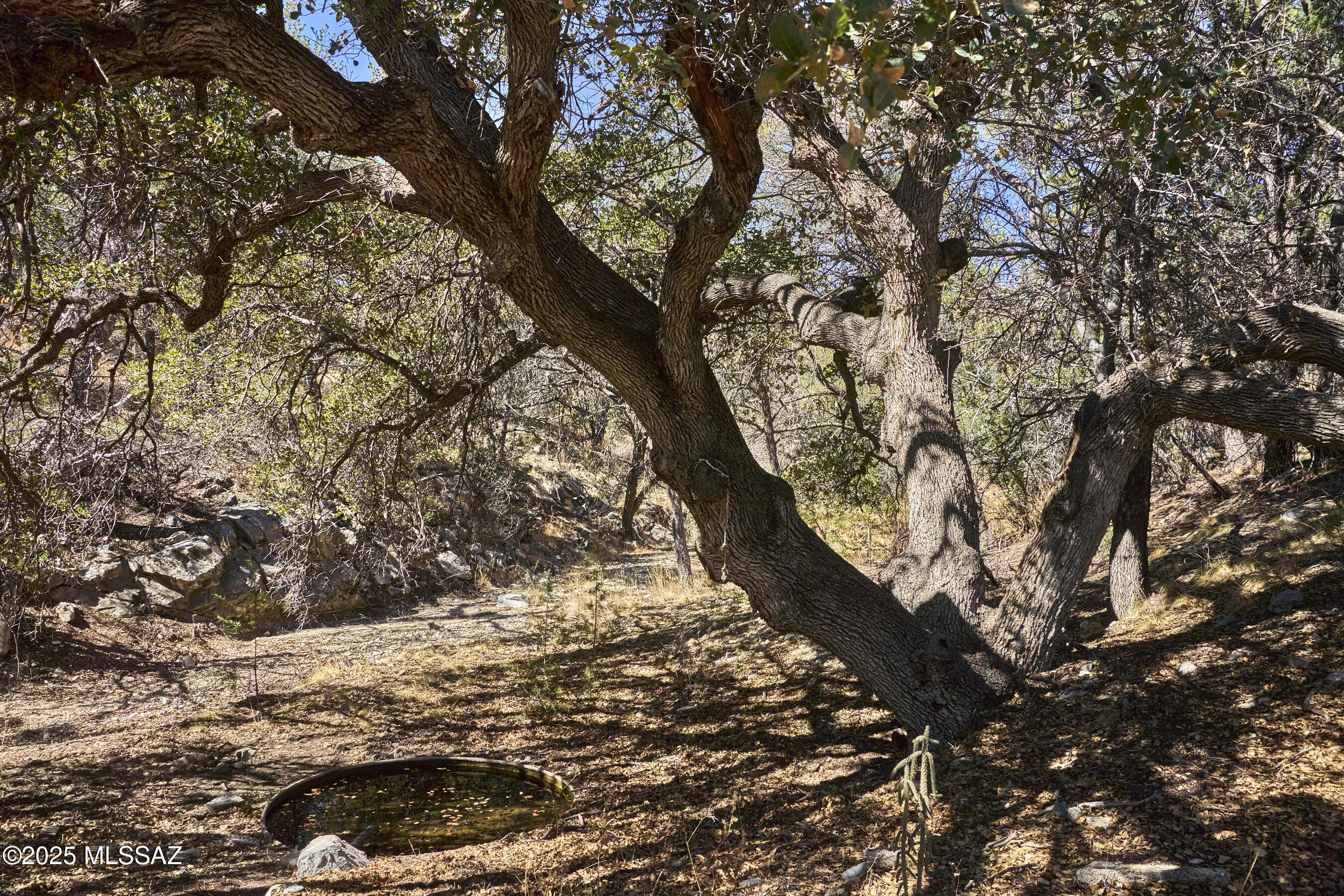 Out Of Pima County - Residential