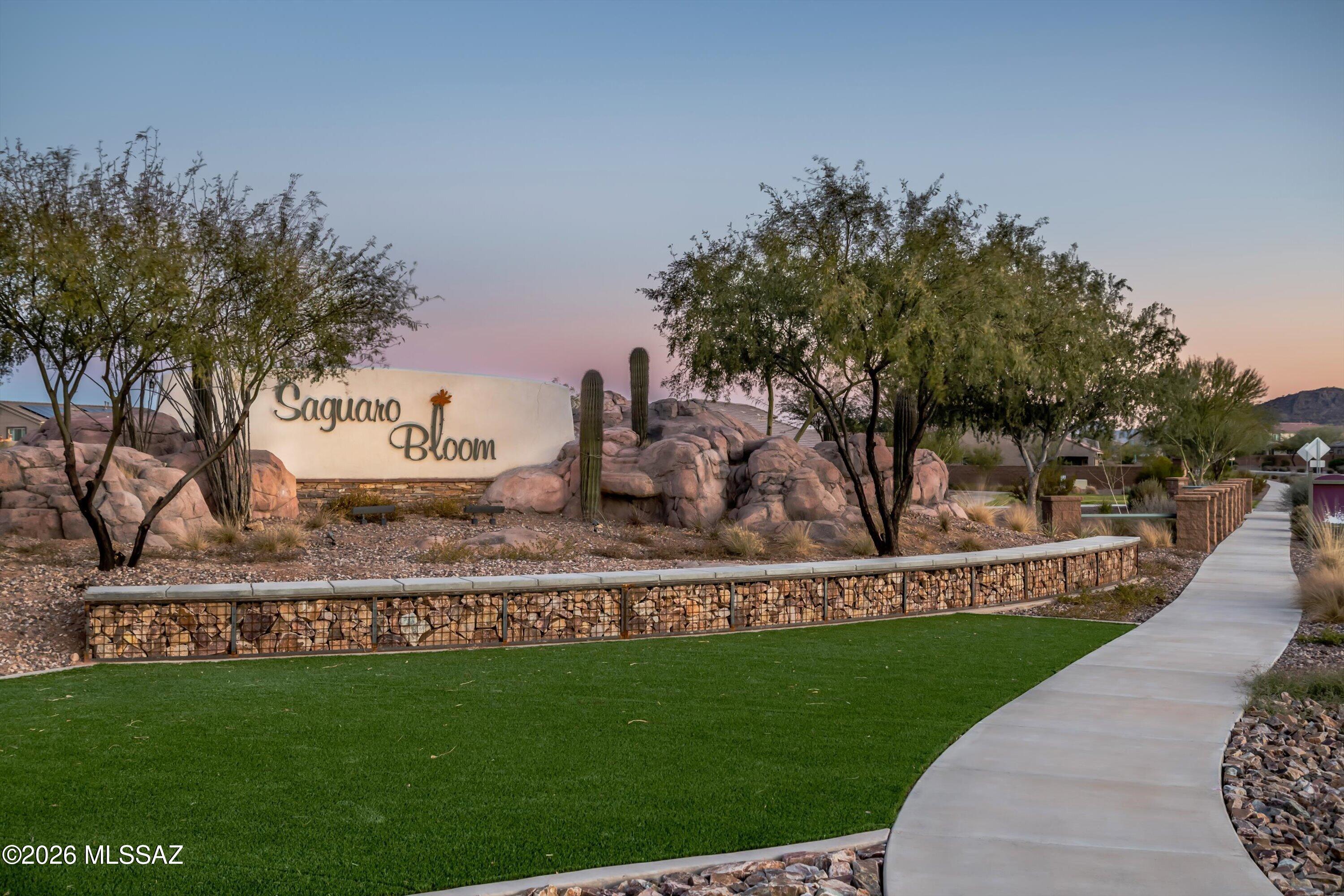 Saguaro Bloom 7A - Residential