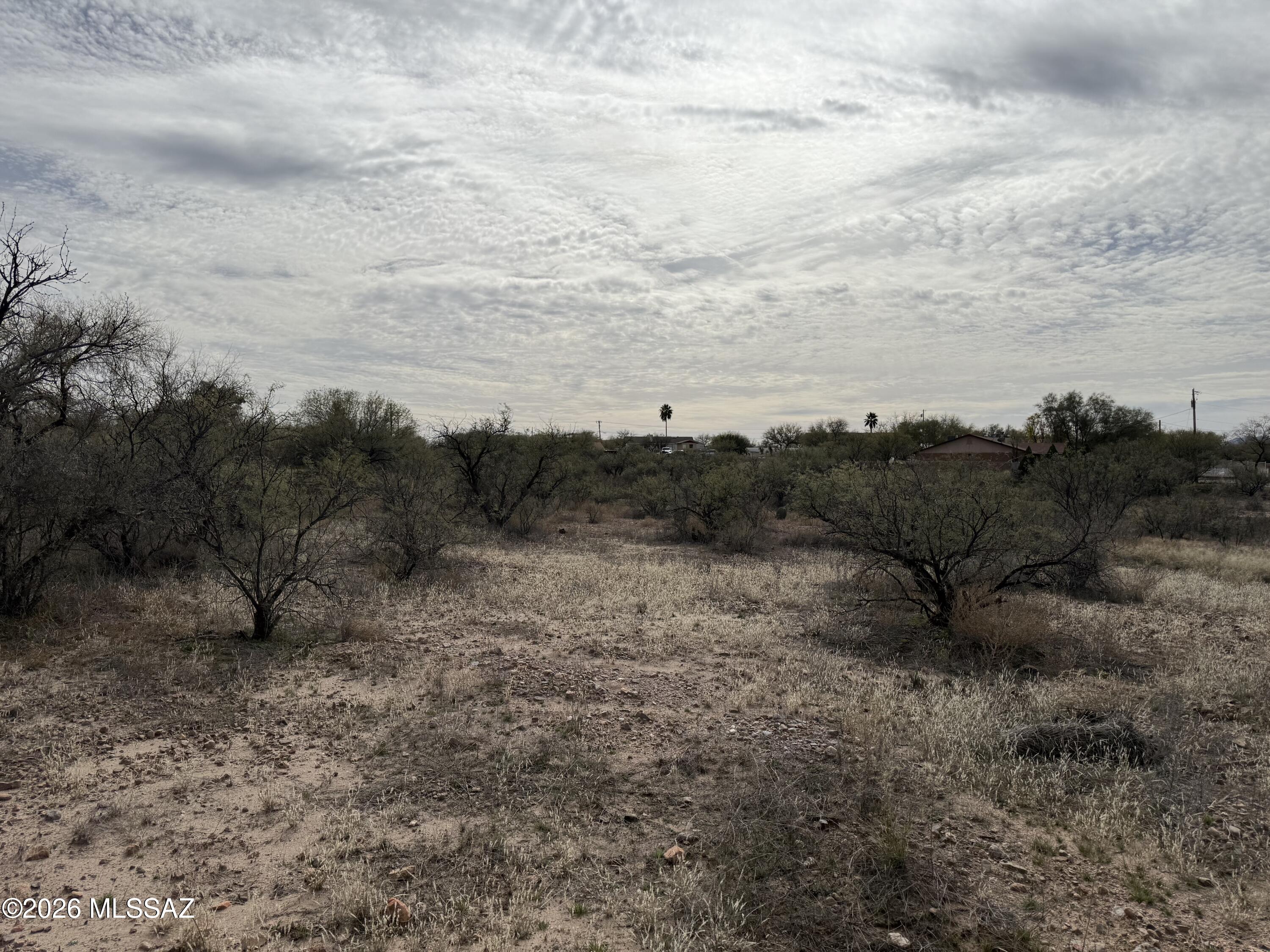 Rio Rico Estates - Land