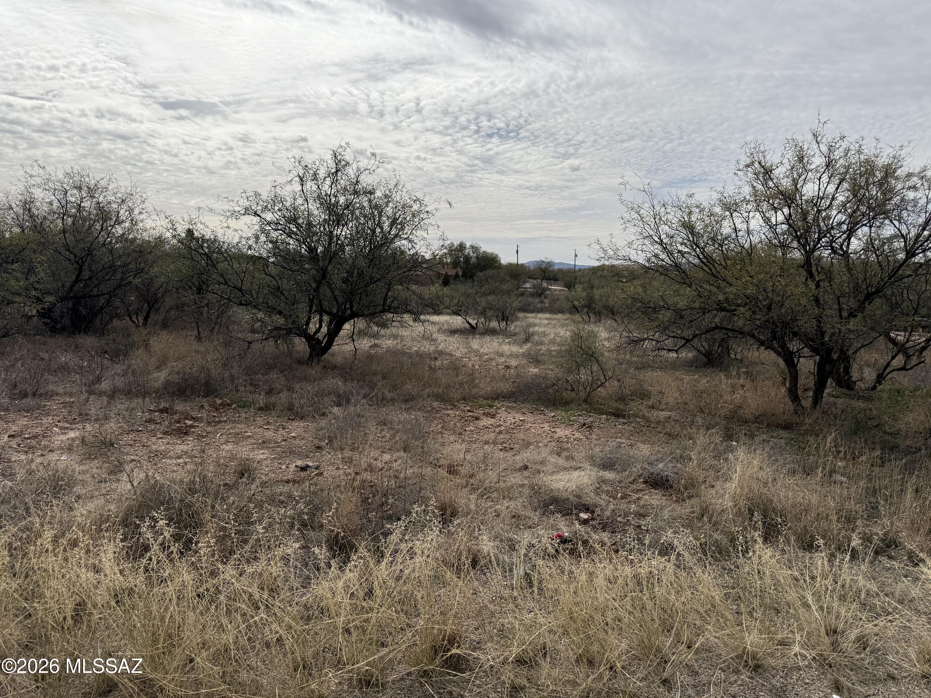 Rio Rico Estates - Land