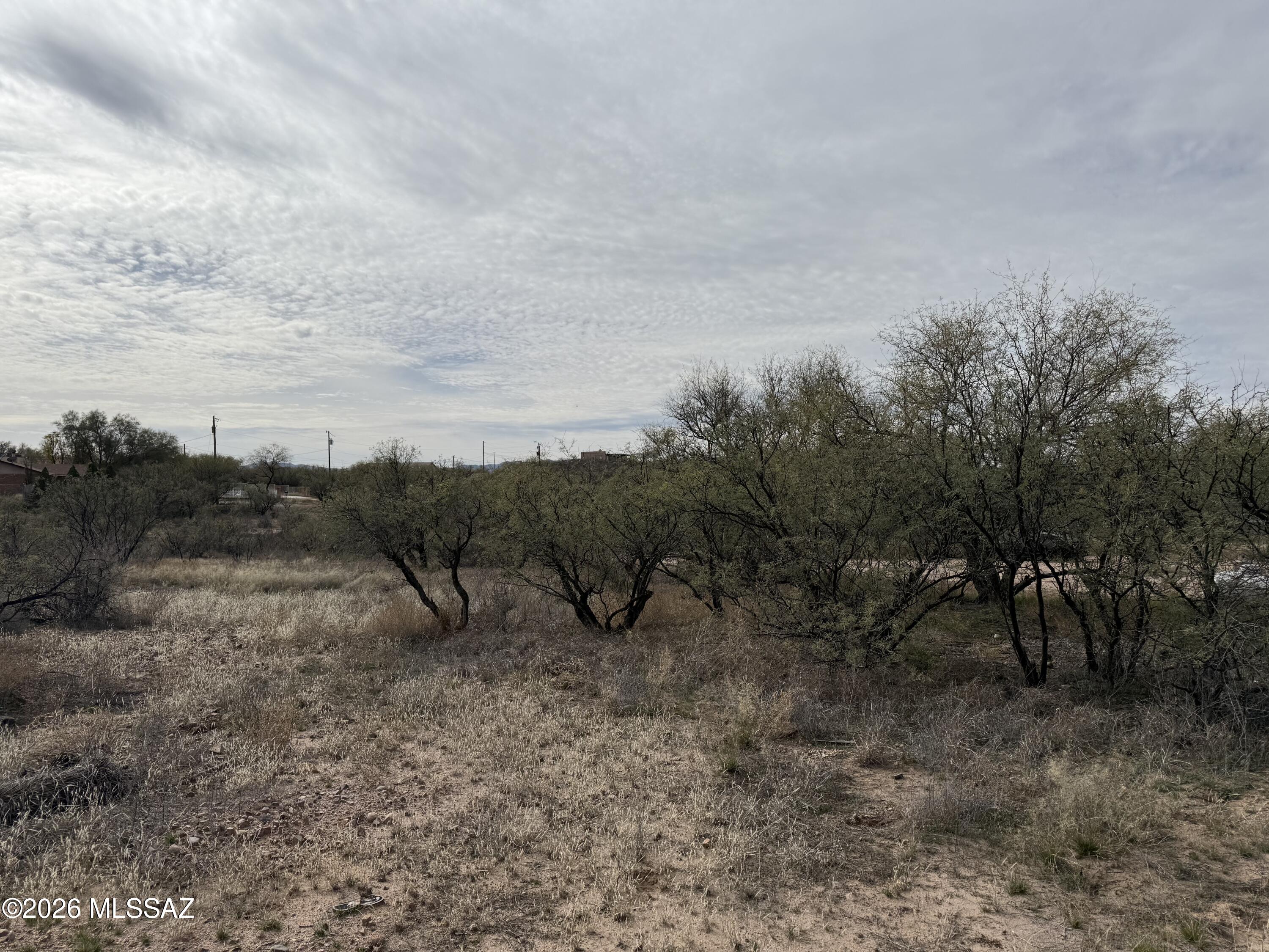 Rio Rico Estates - Land