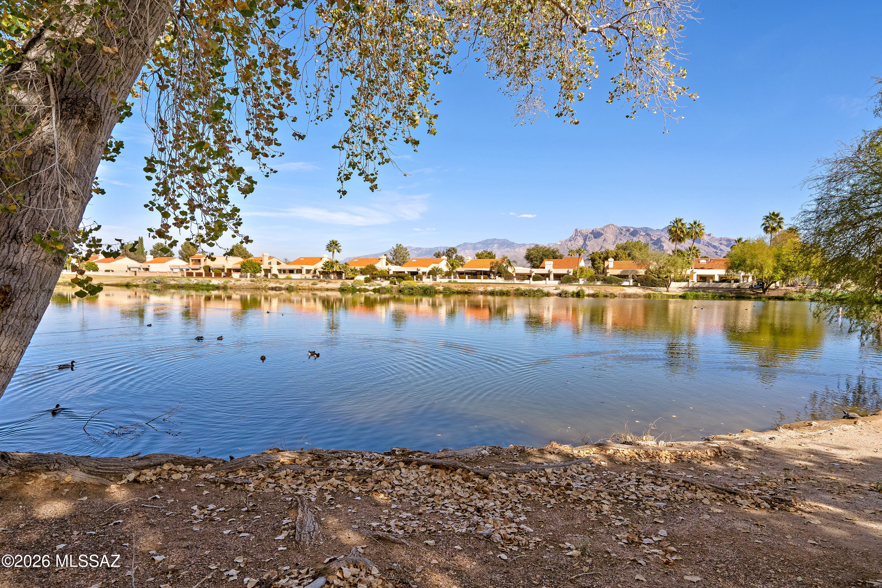 Fairway Heights At Tucson National Par.II (45-95) - Residential