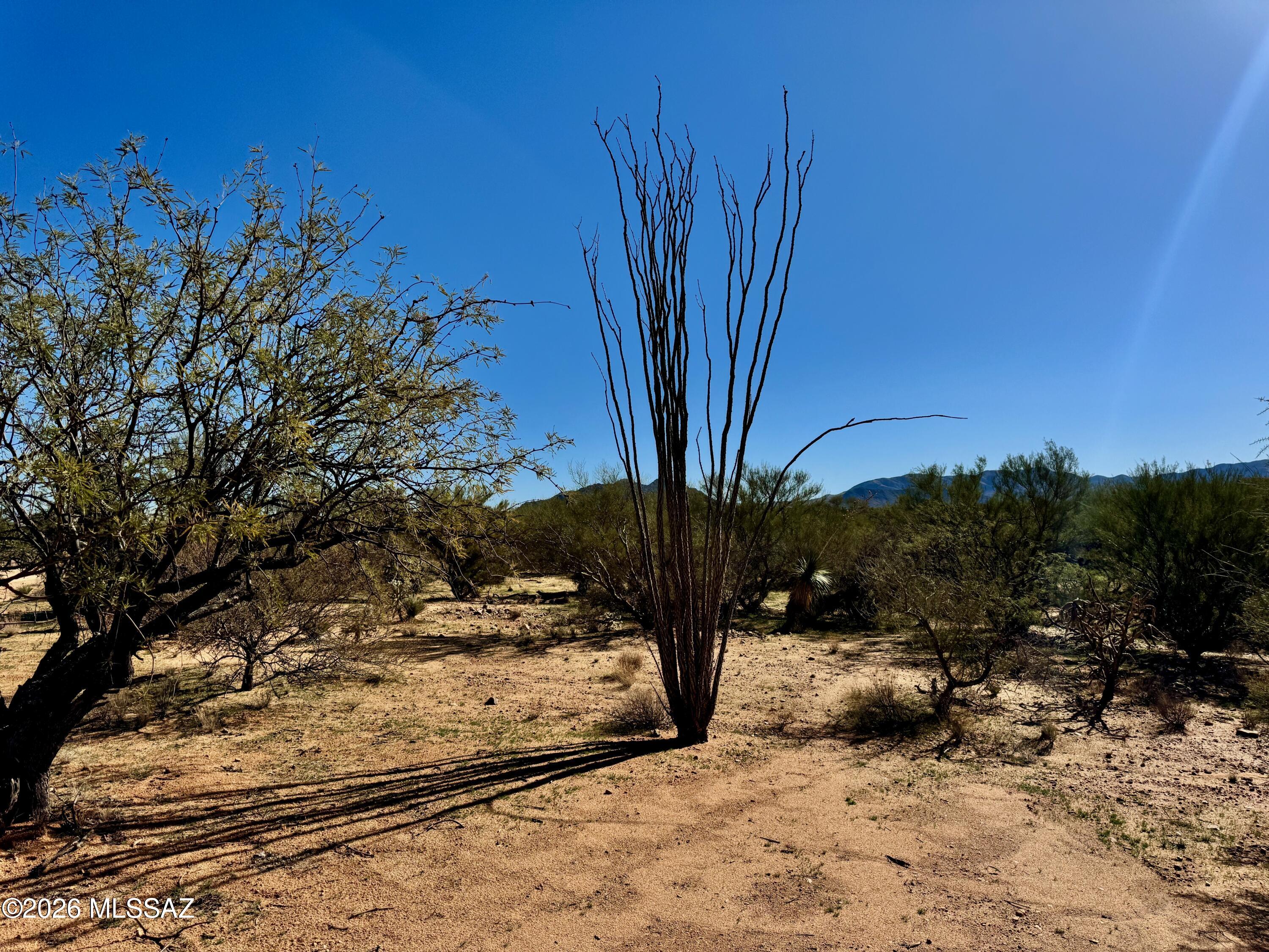 Diamond Bell Ranch - Tucson Unit 8 (1-385) - Land