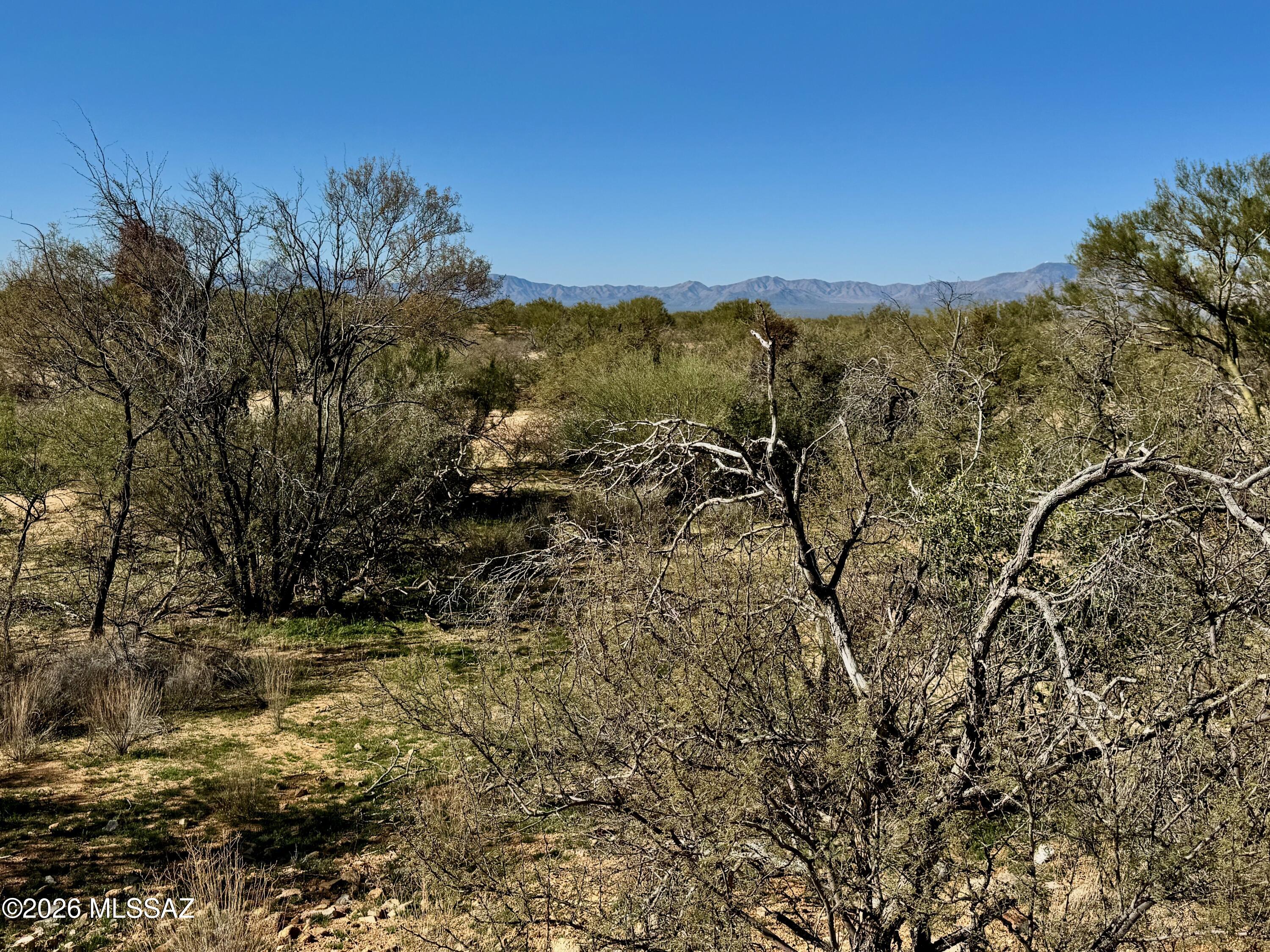 Diamond Bell Ranch - Tucson Unit 8 (1-385) - Land