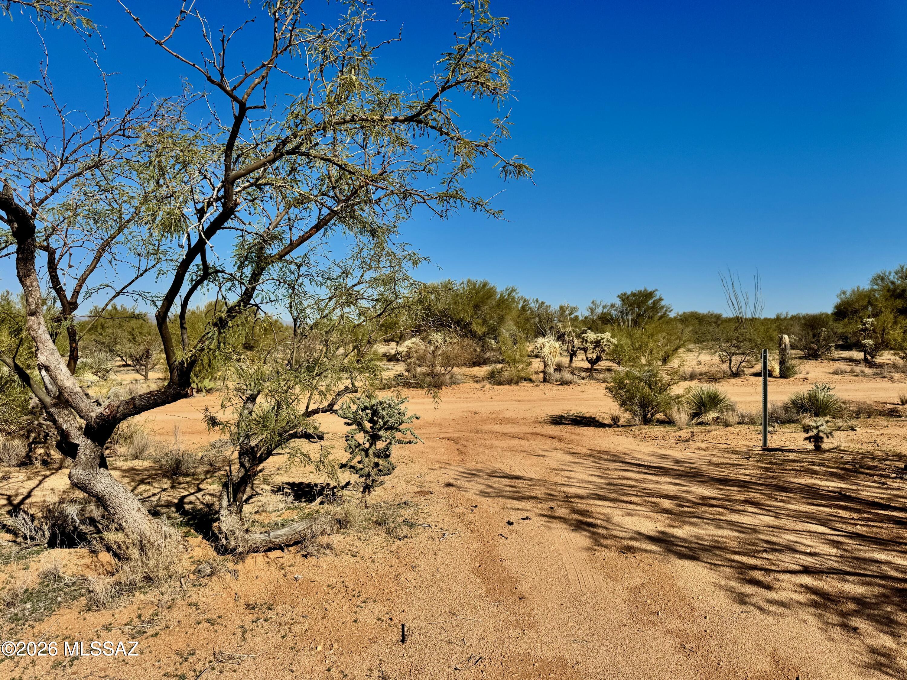 Diamond Bell Ranch - Tucson Unit 8 (1-385) - Land