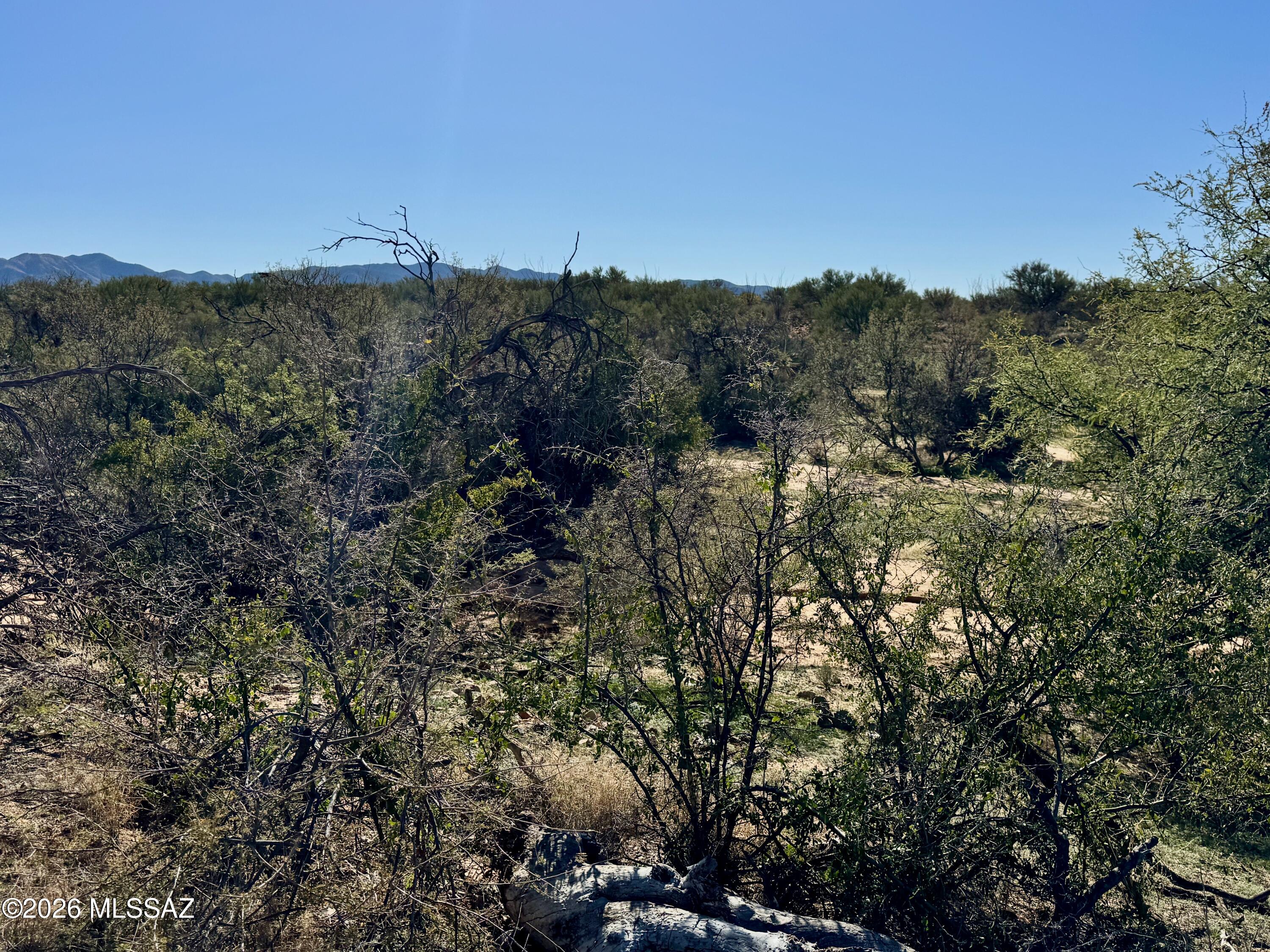 Diamond Bell Ranch - Tucson Unit 8 (1-385) - Land