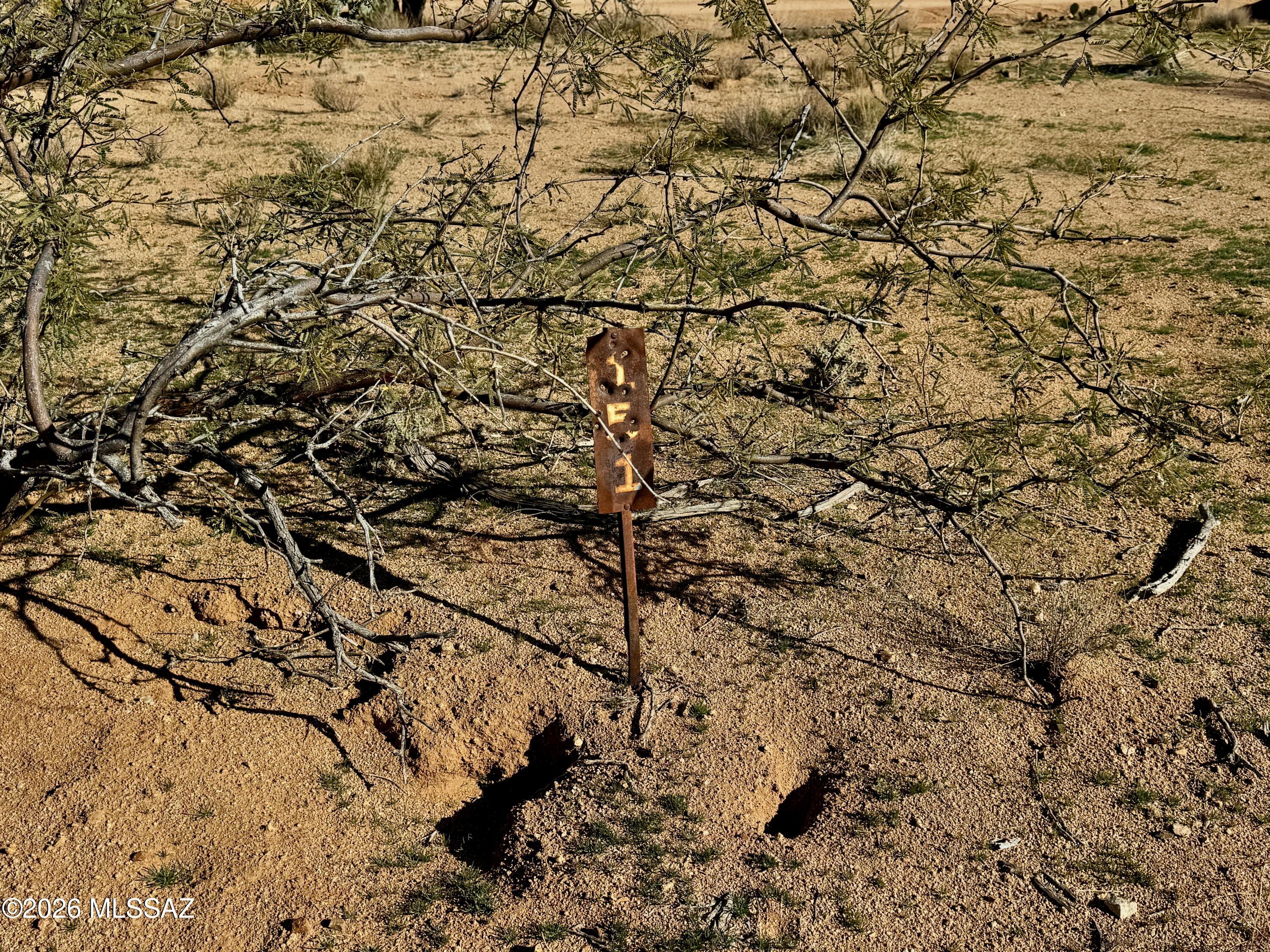 Diamond Bell Ranch - Tucson Unit 8 (1-385) - Land