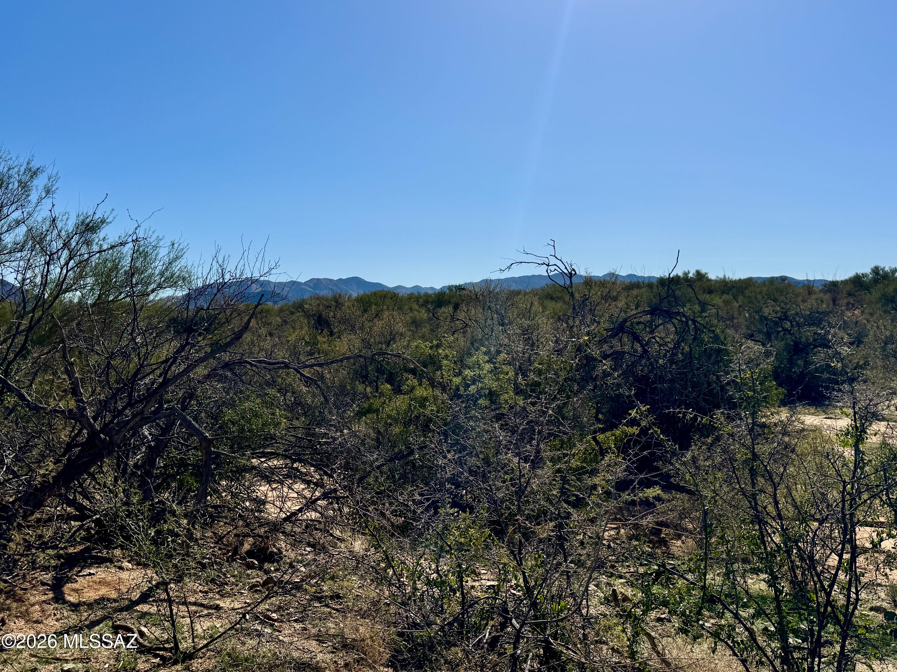 Diamond Bell Ranch - Tucson Unit 8 (1-385) - Land