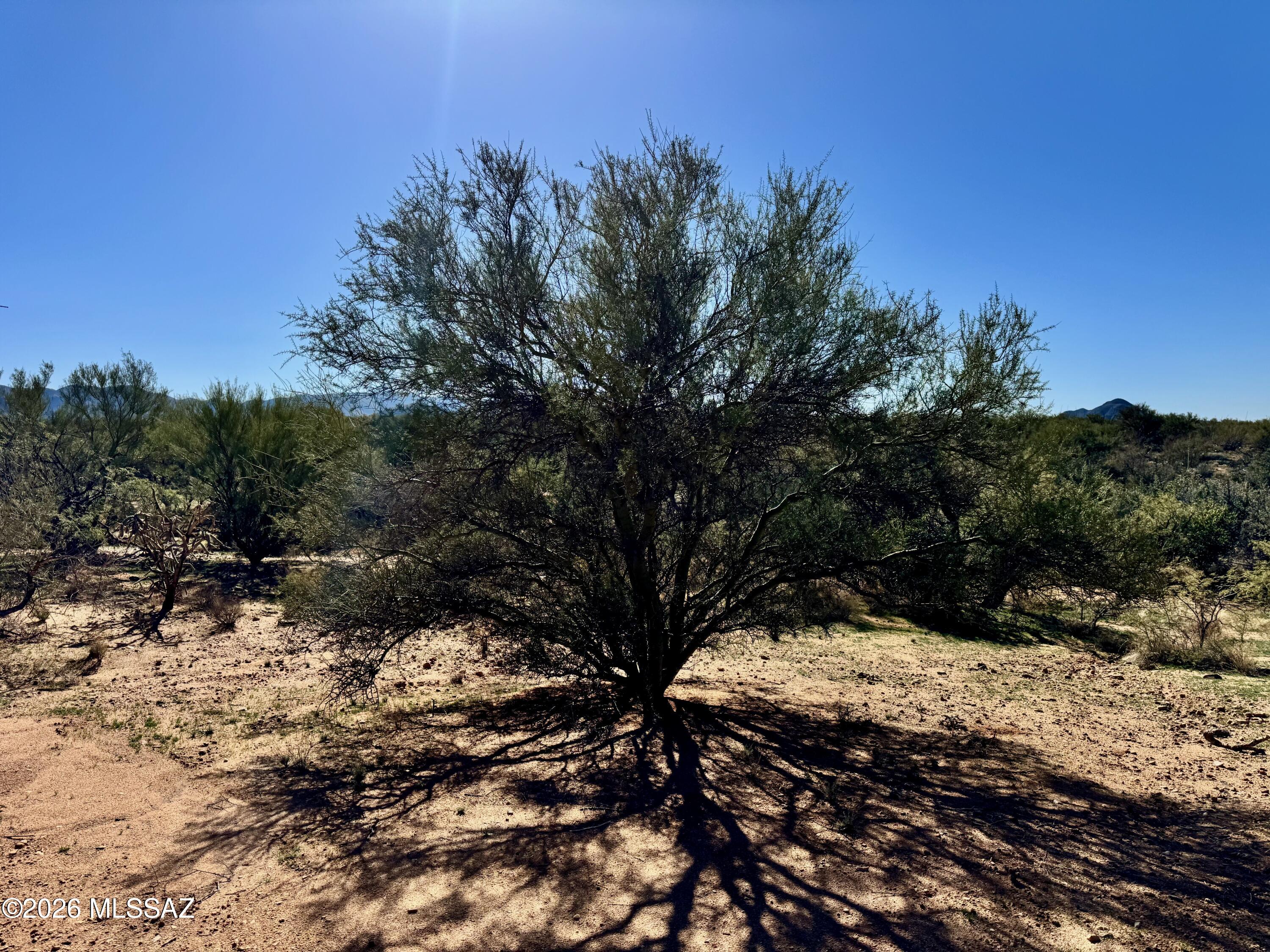 Diamond Bell Ranch - Tucson Unit 8 (1-385) - Land