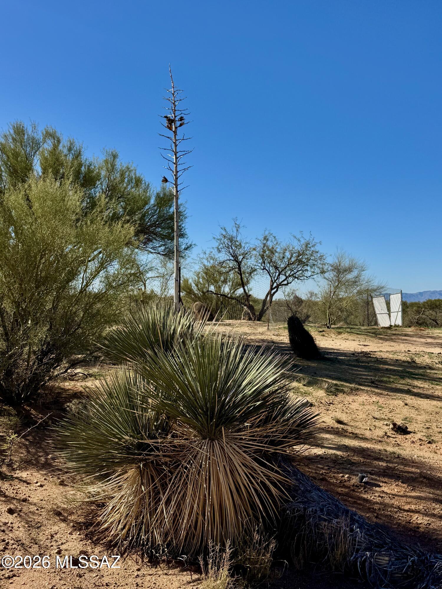 Diamond Bell Ranch - Tucson Unit 8 (1-385) - Land