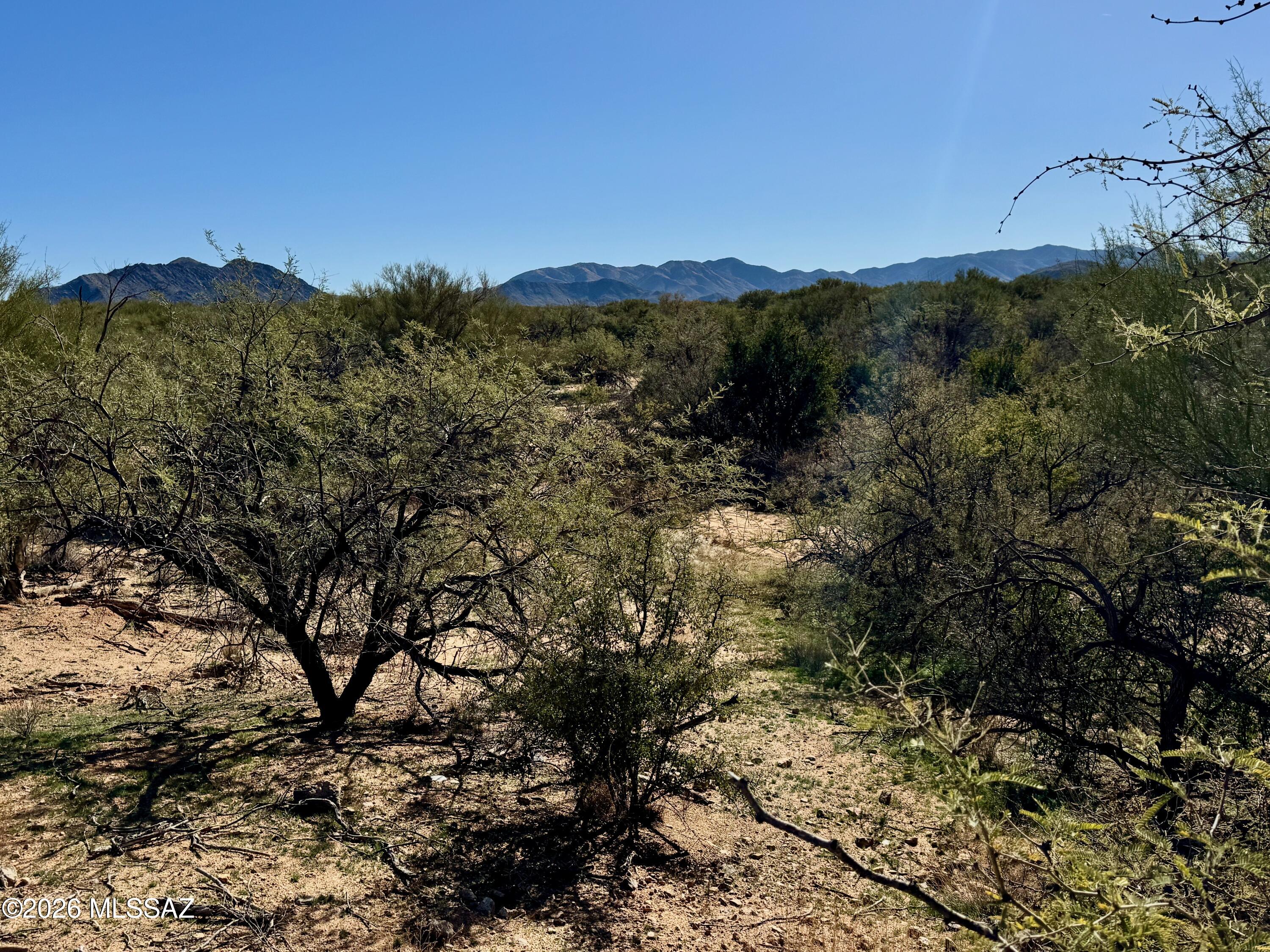 Diamond Bell Ranch - Tucson Unit 8 (1-385) - Land
