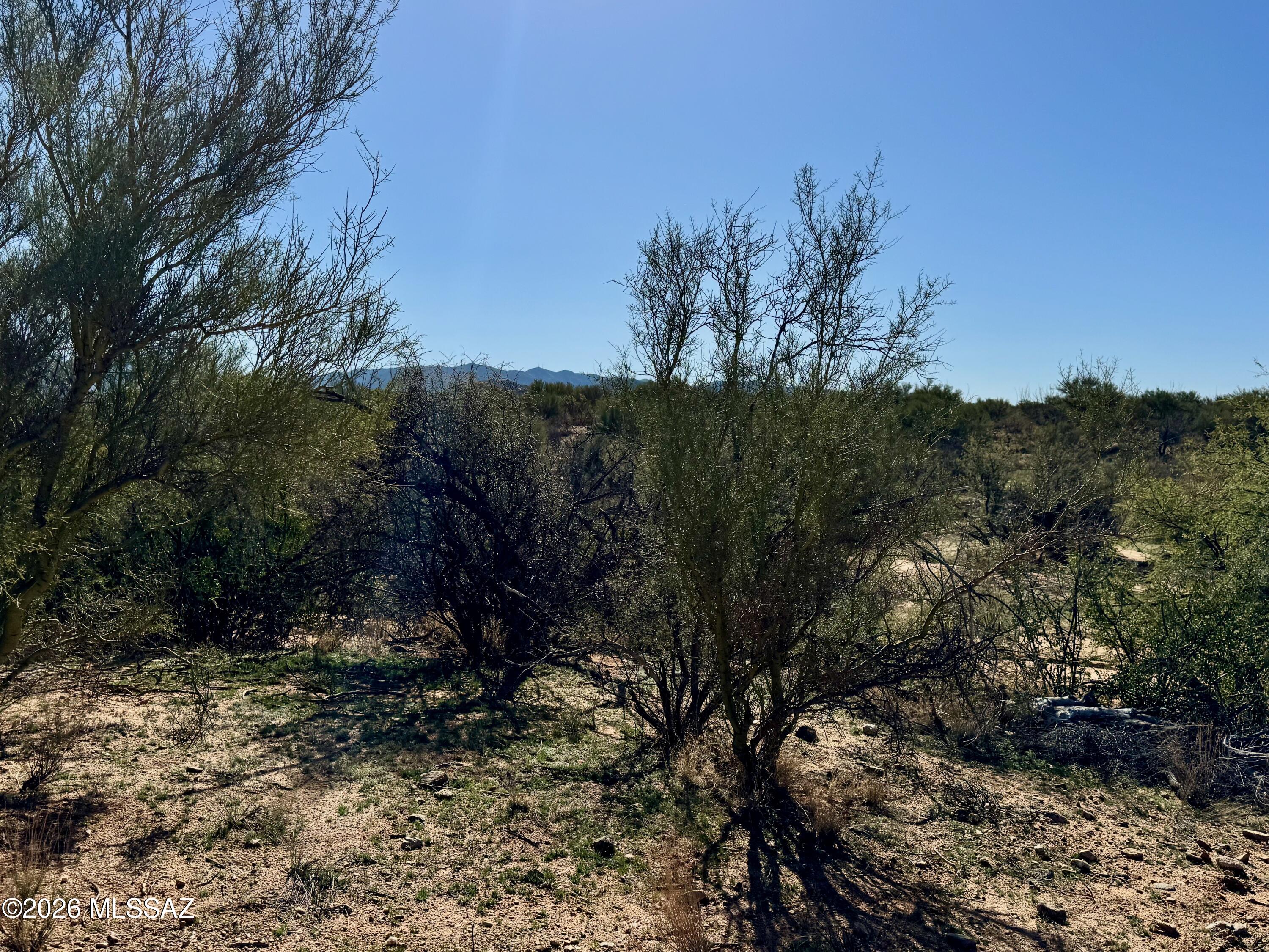 Diamond Bell Ranch - Tucson Unit 8 (1-385) - Land