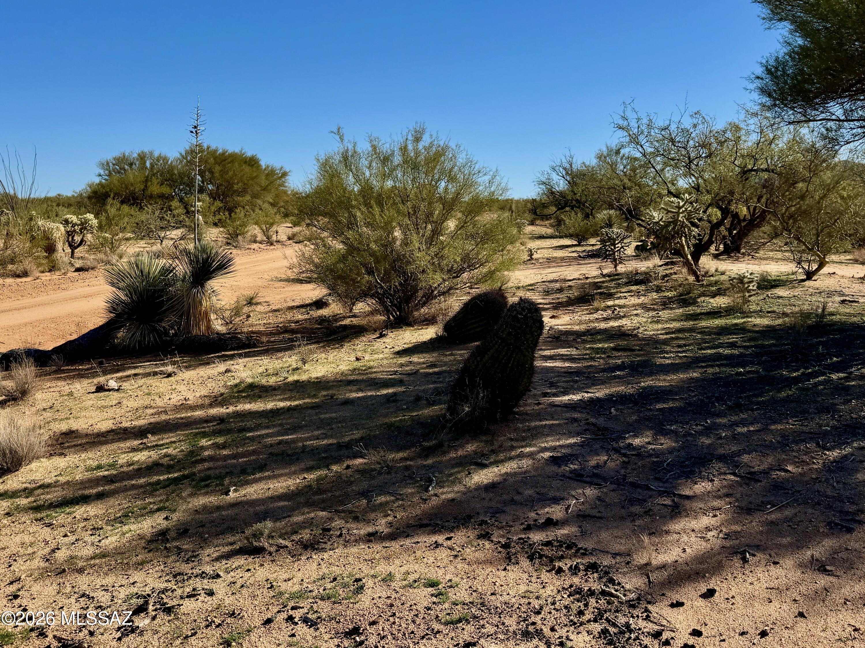 Diamond Bell Ranch - Tucson Unit 8 (1-385) - Land