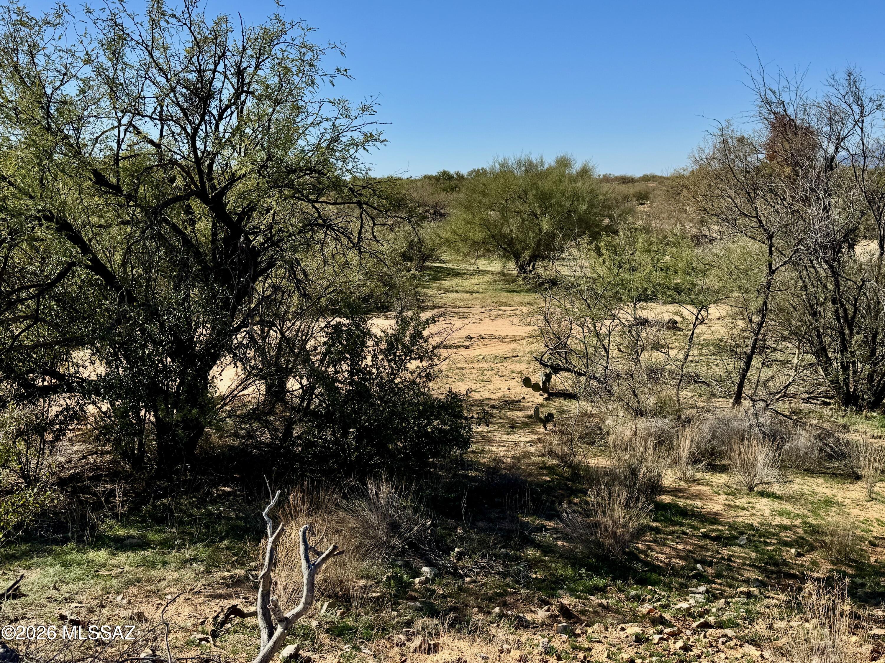 Diamond Bell Ranch - Tucson Unit 8 (1-385) - Land