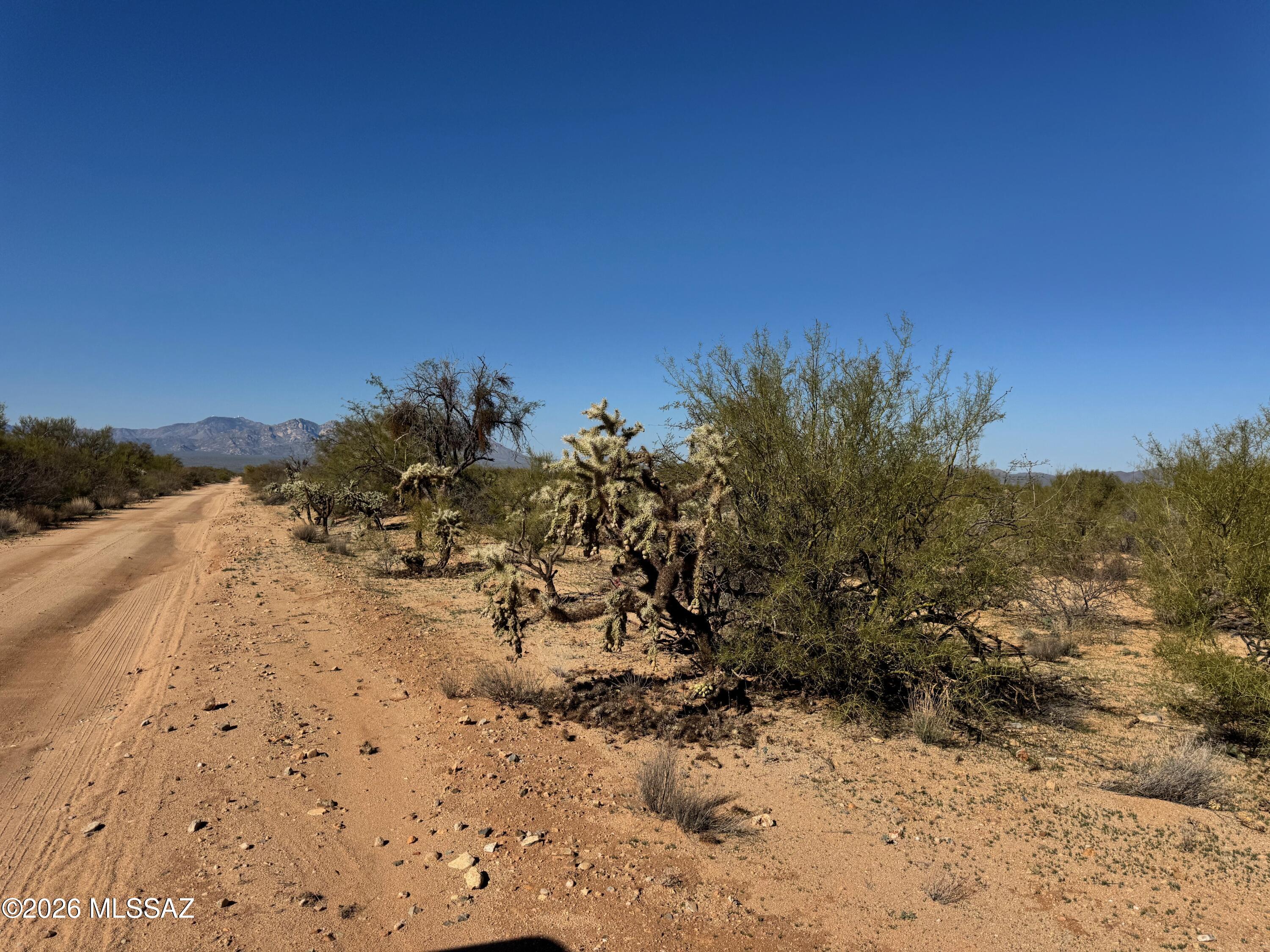 Diamond Bell Ranch - Tucson Unit 8 (1-385) - Land