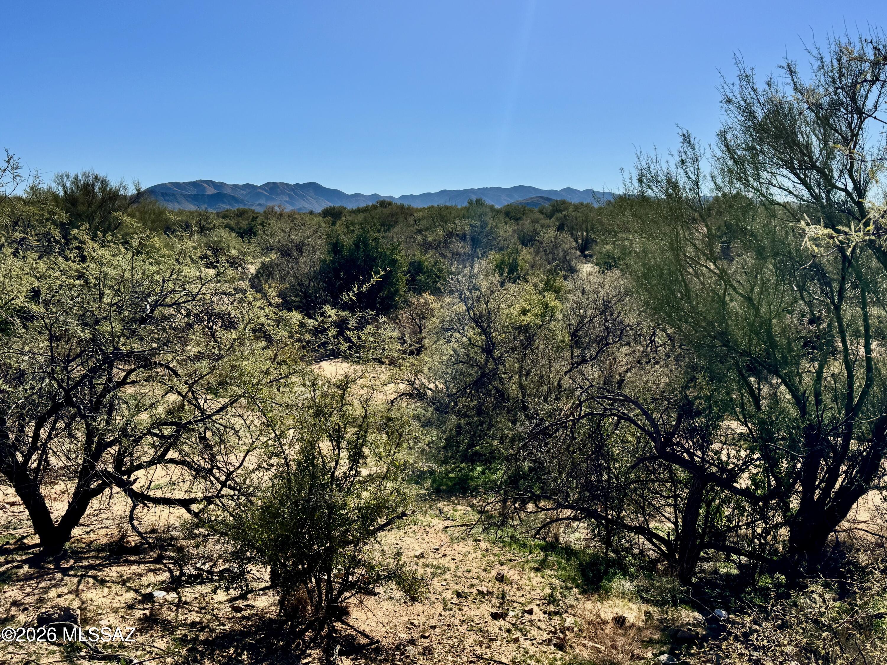 Diamond Bell Ranch - Tucson Unit 8 (1-385) - Land